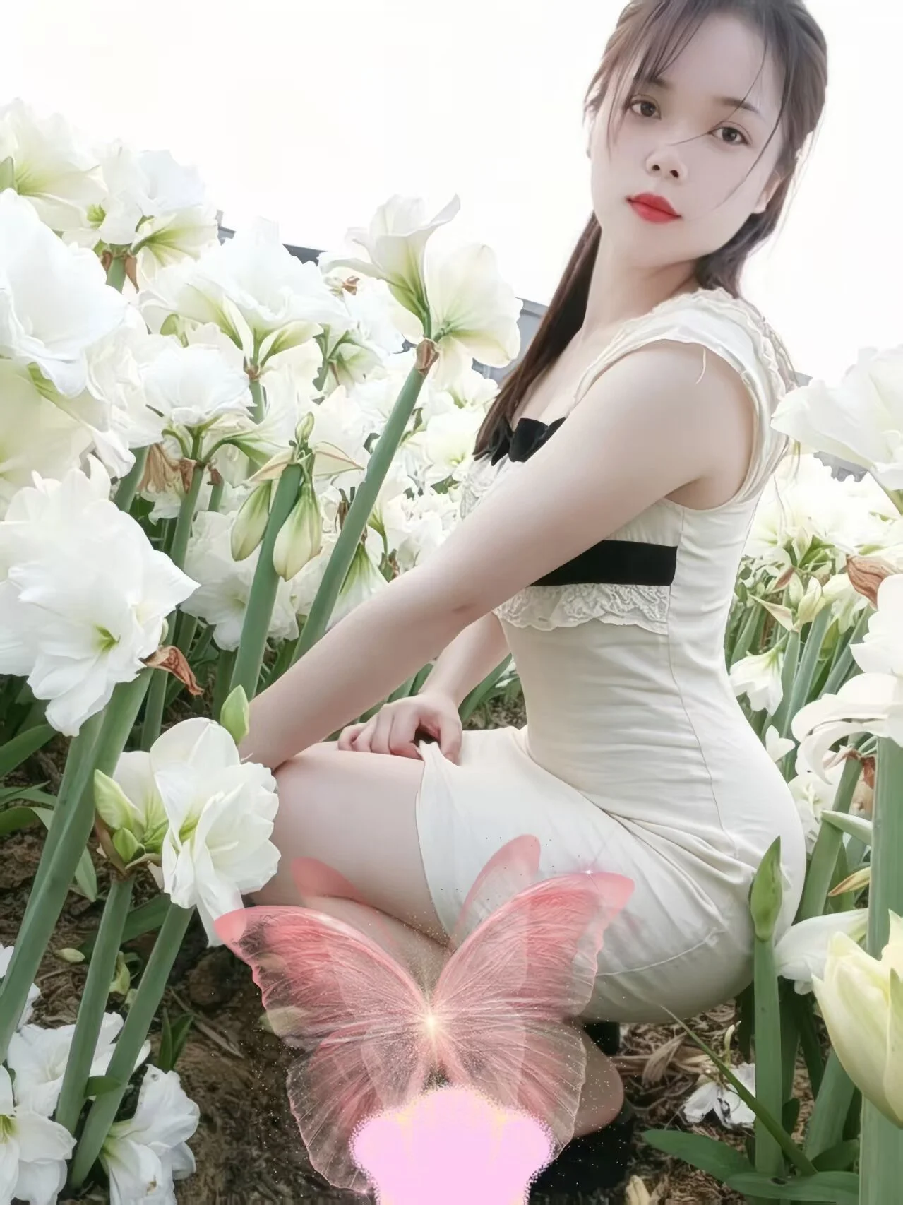 xinxin888666
