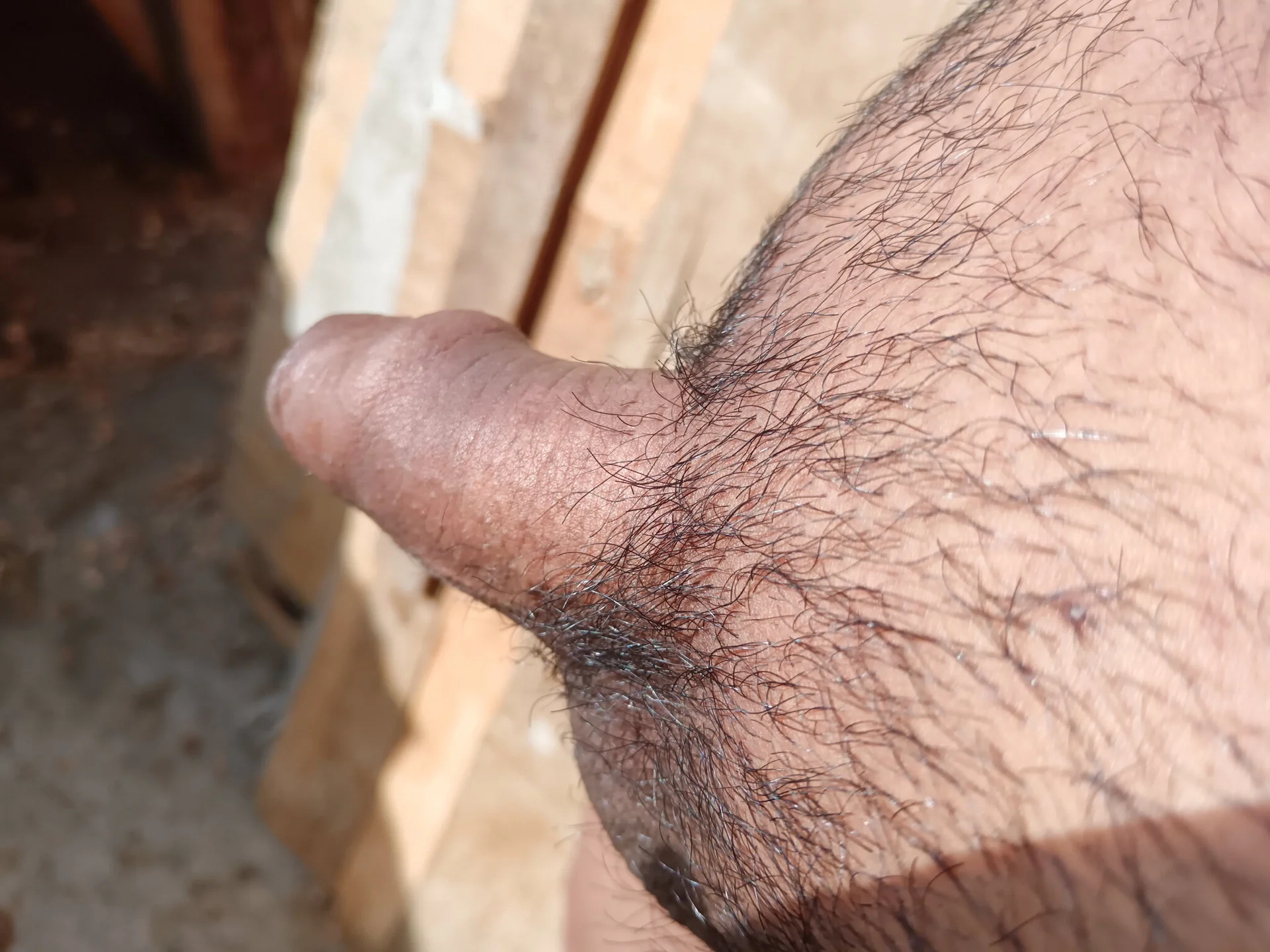 XXX Porn Photo of Nude andi_erotic 579