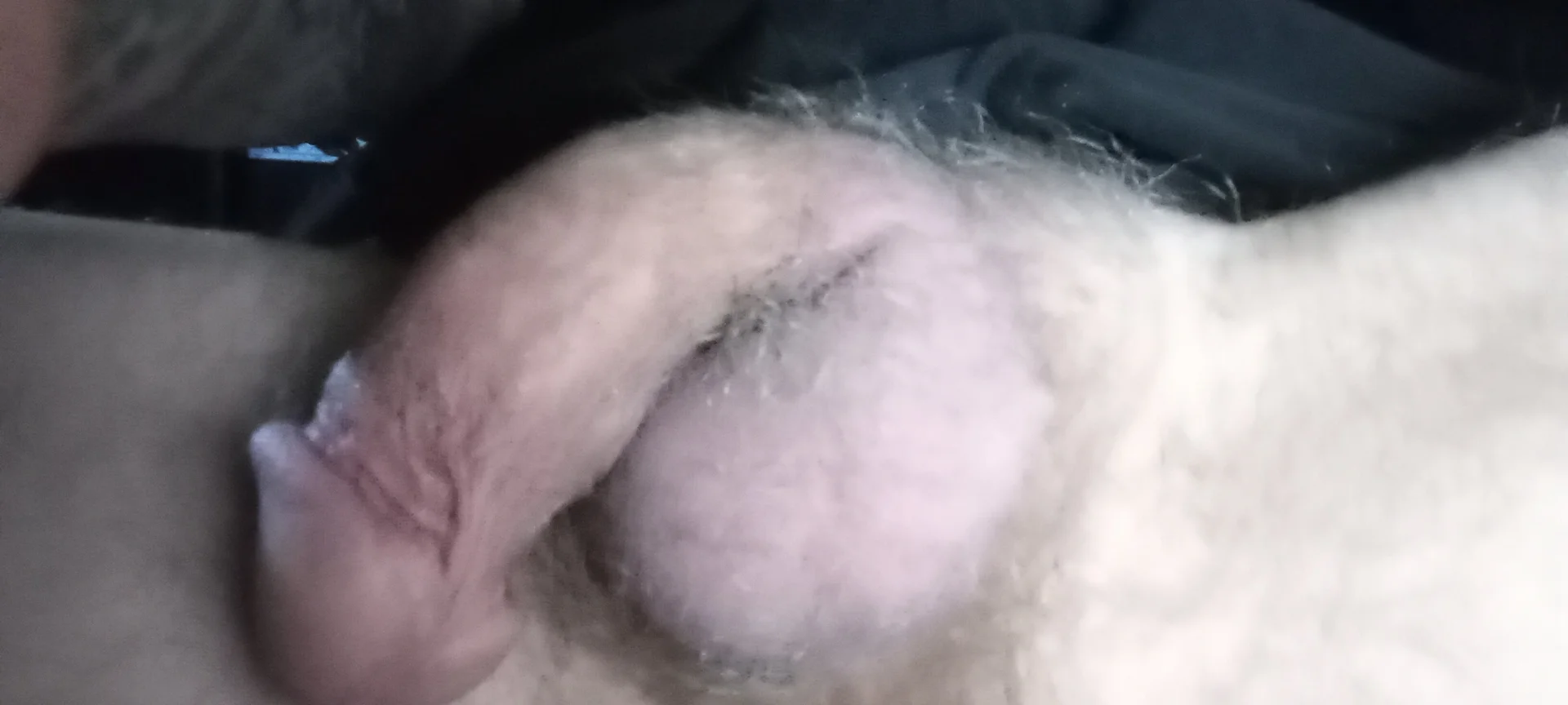 XXX Porn Photo of Nude sucktraewil 3