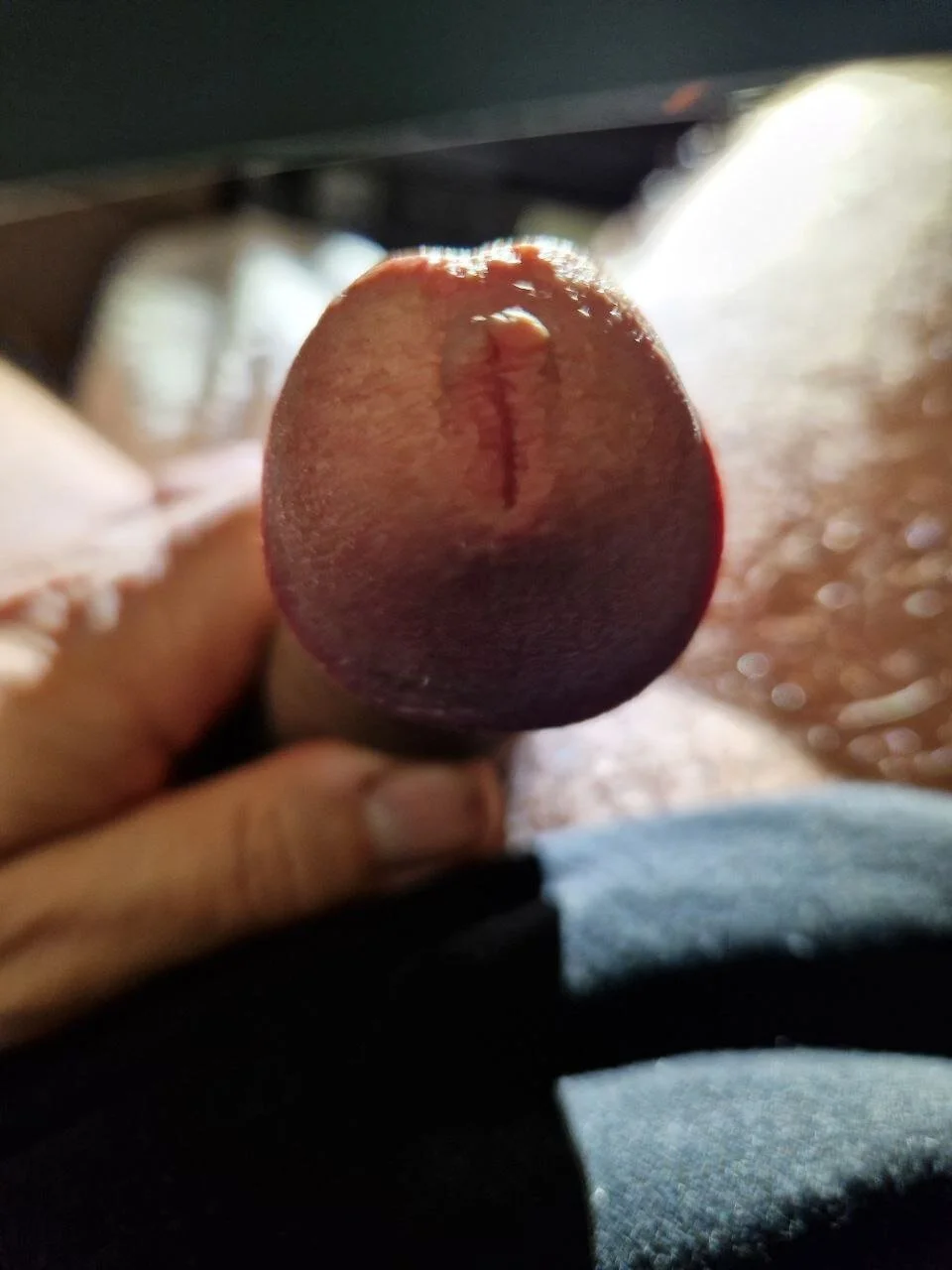 XXX Porn Photo of Nude HardWolf2024 3