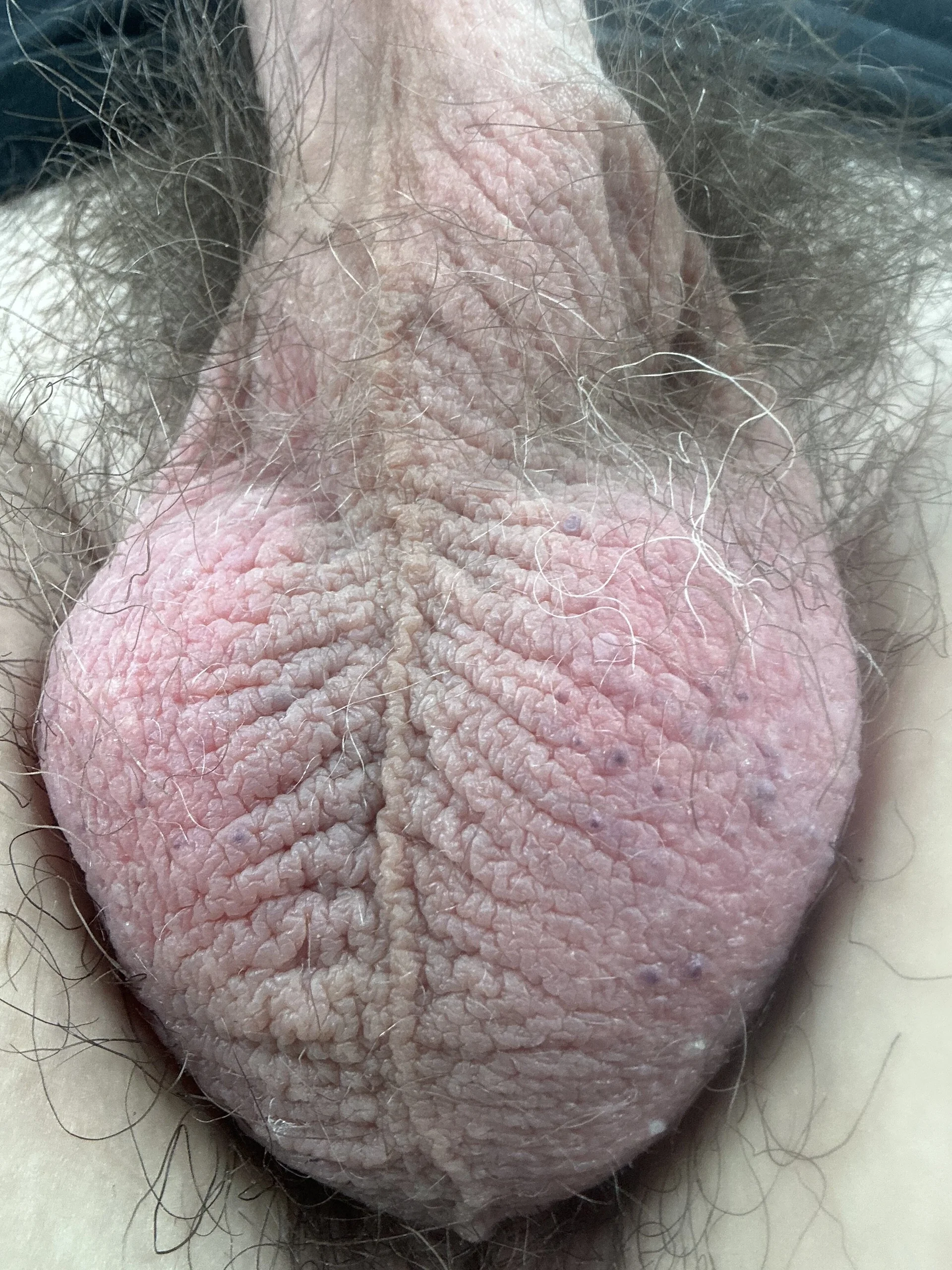 XXX Porn Photo of Nude markbigcock978 5