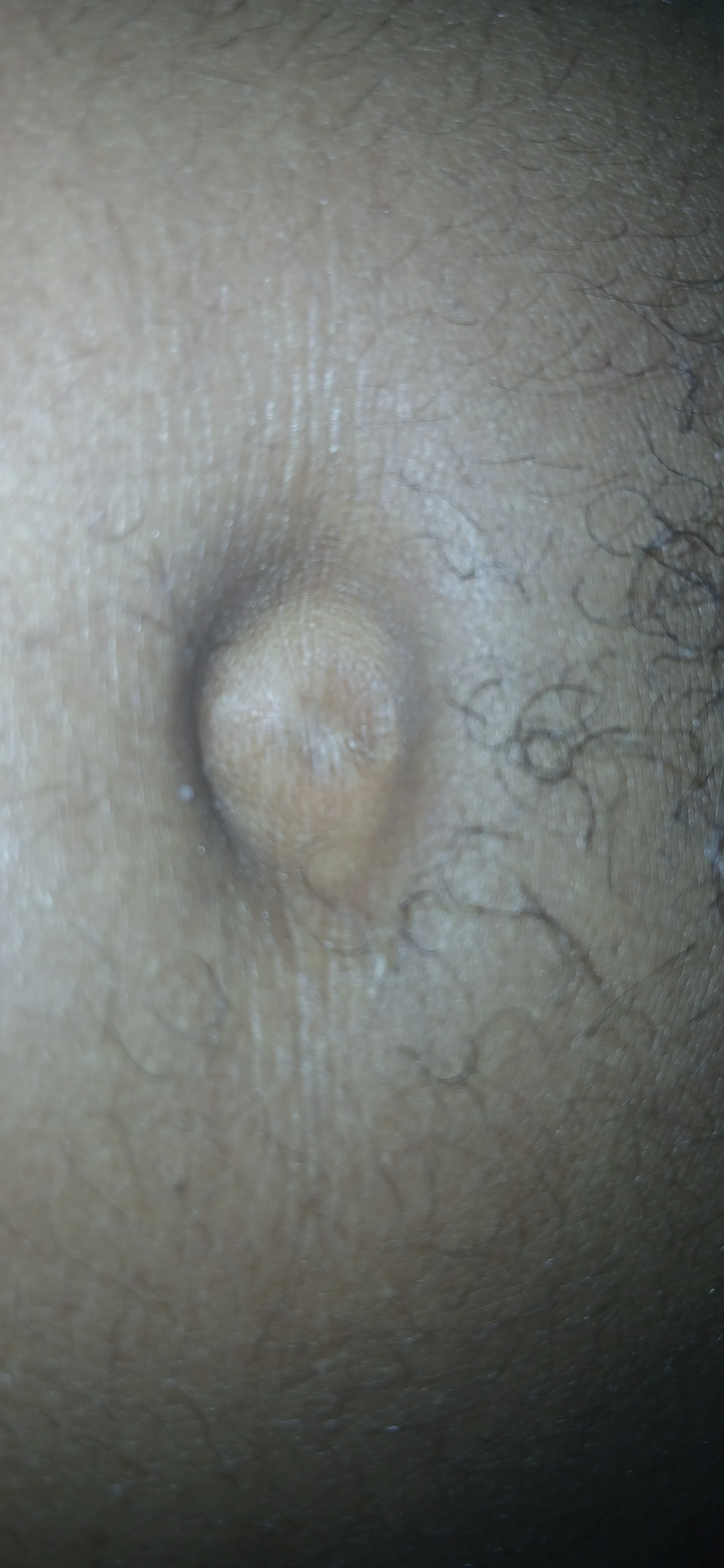 XXX Porn Photo of Nude jhbswto 7