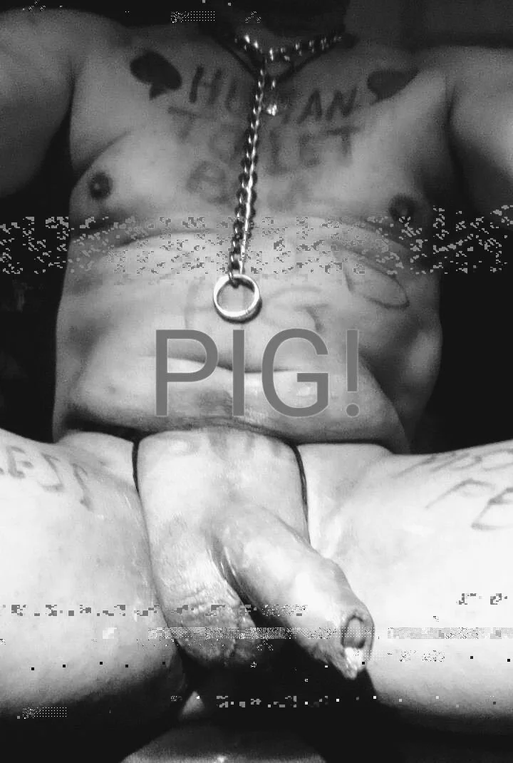 XXX Porn Photo of Nude DoMePigDaddy 2