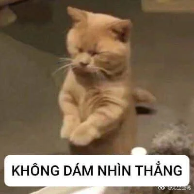 XXX Porn Photo of Nude aninianh 3