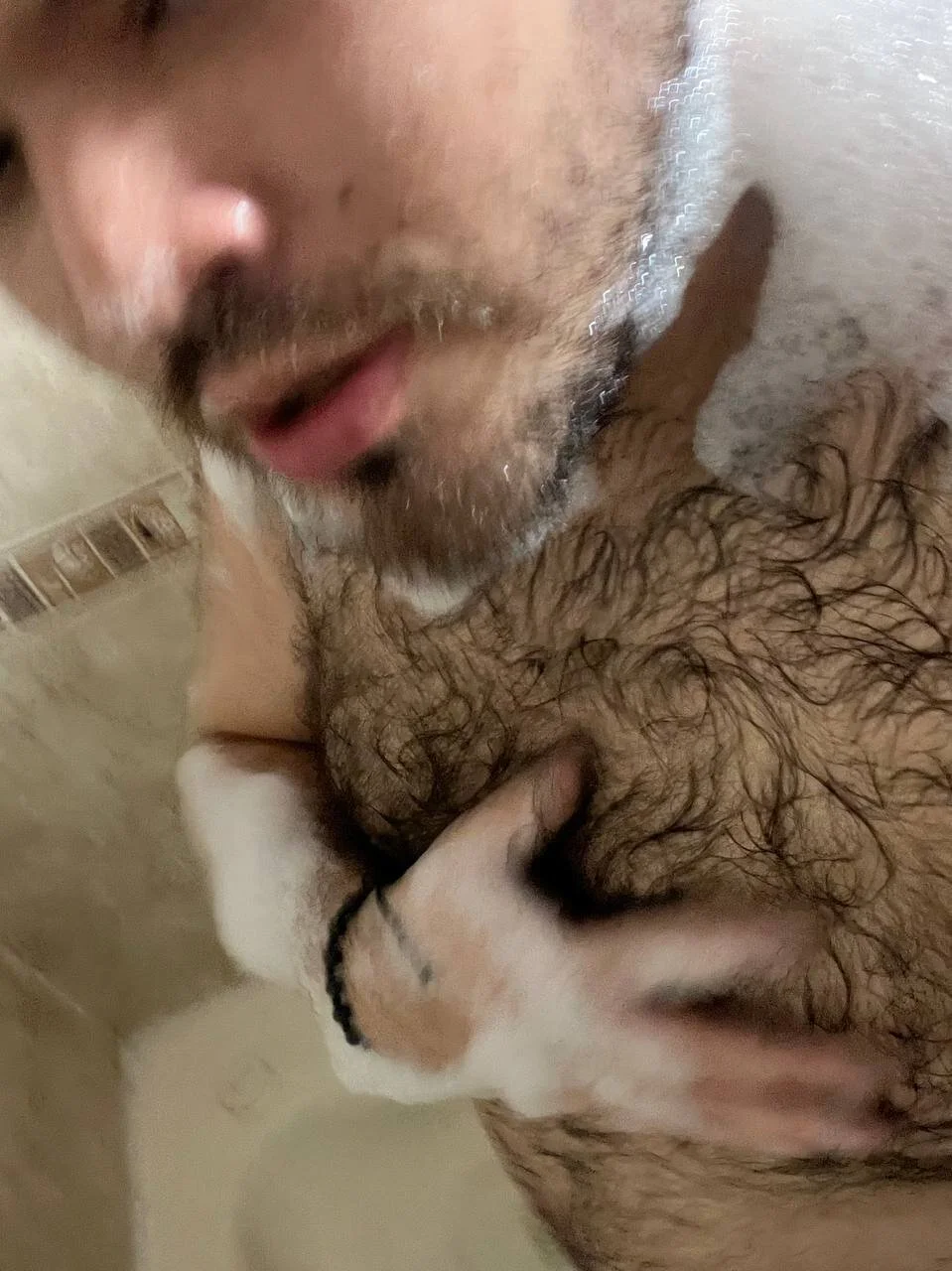 big_bearr