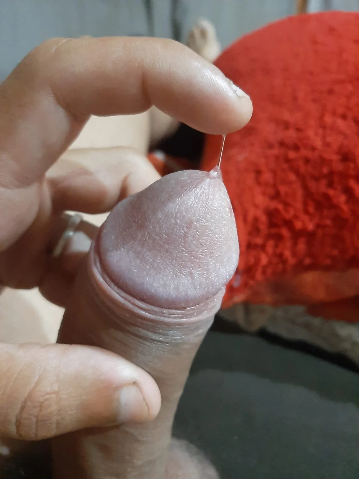 XXX Porn Photo of Nude RS1995Poa1 4