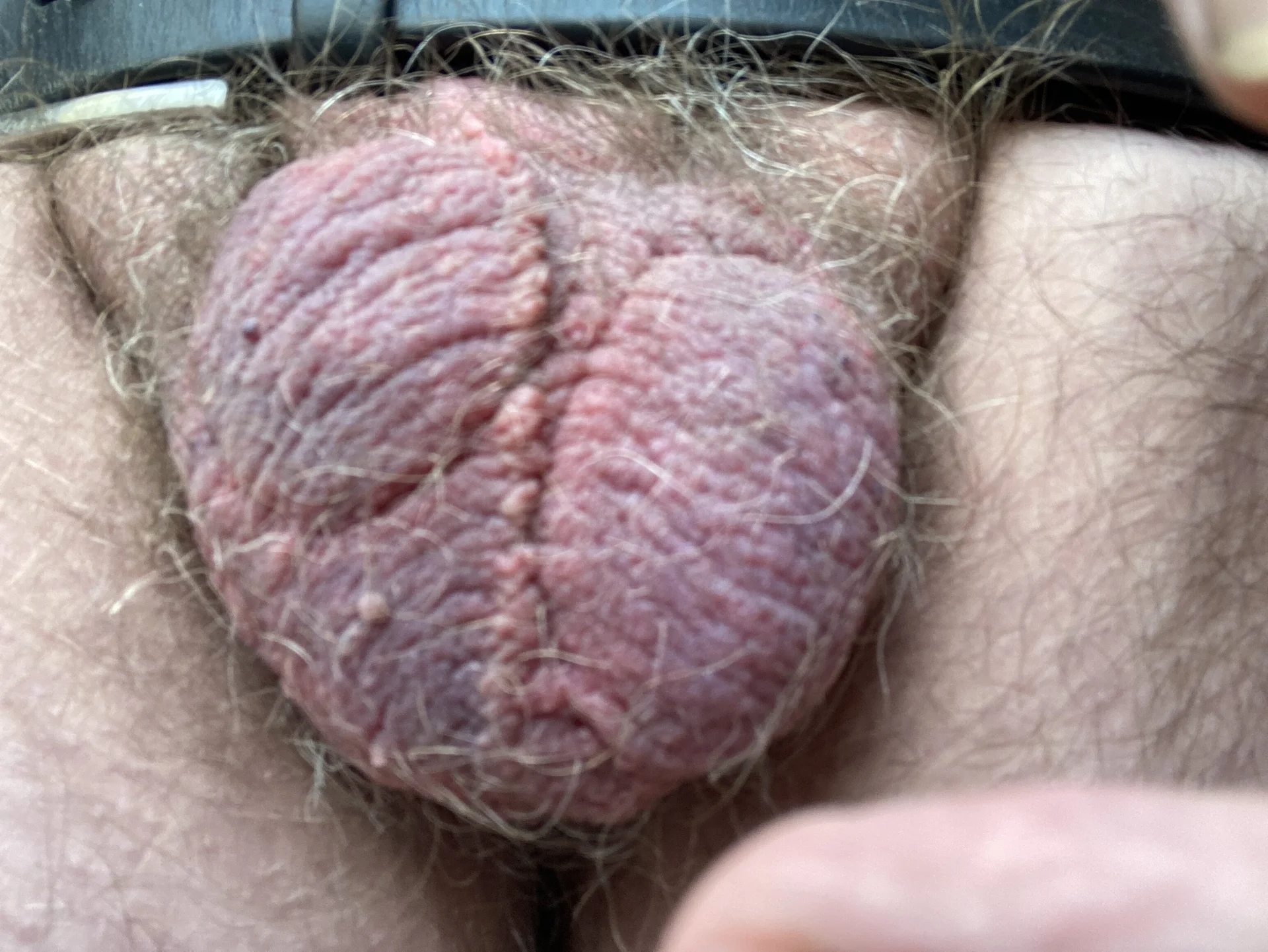 XXX Porn Photo of Nude CBTluver 39