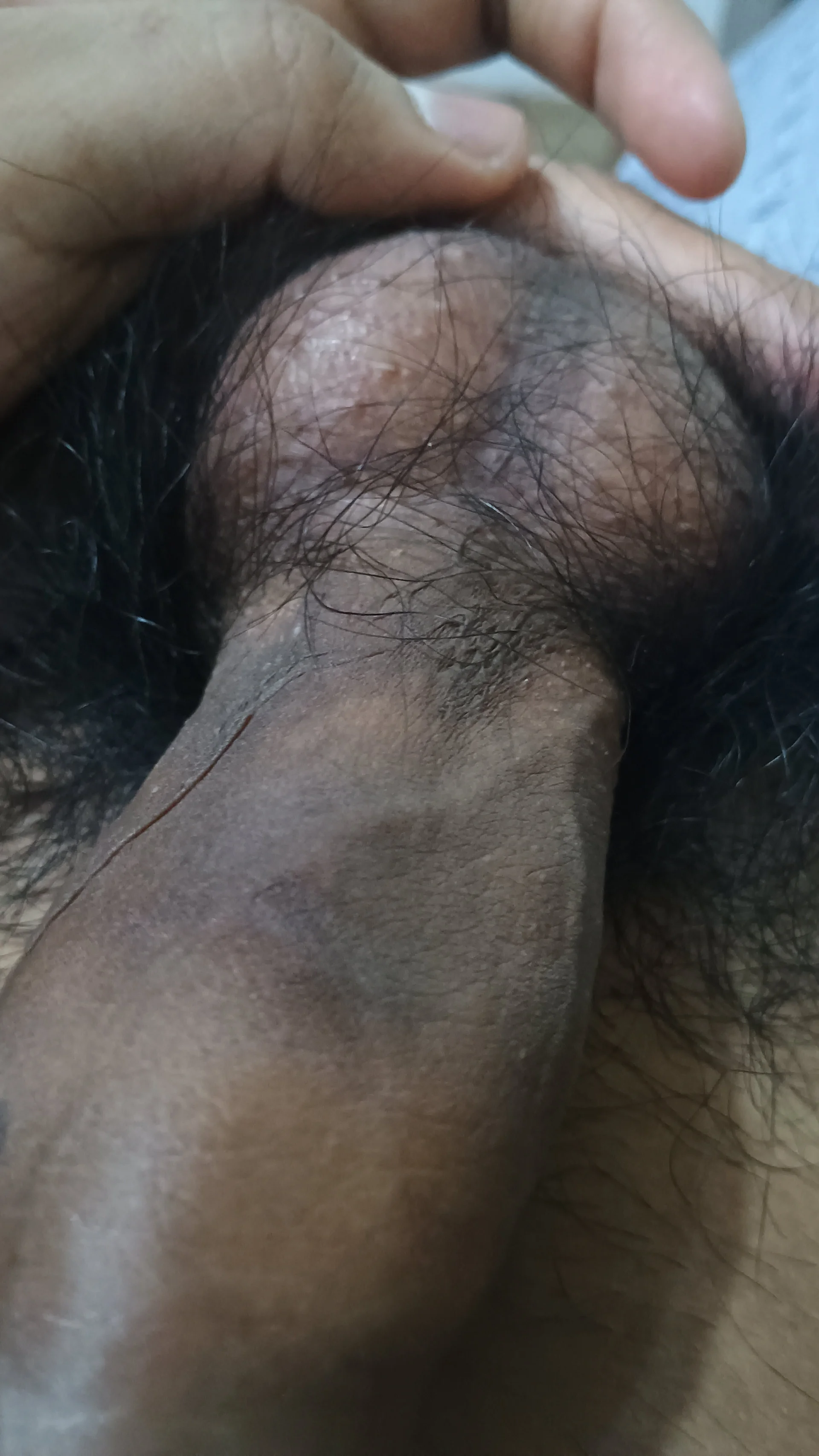 XXX Porn Photo of Nude Javi464_ 3