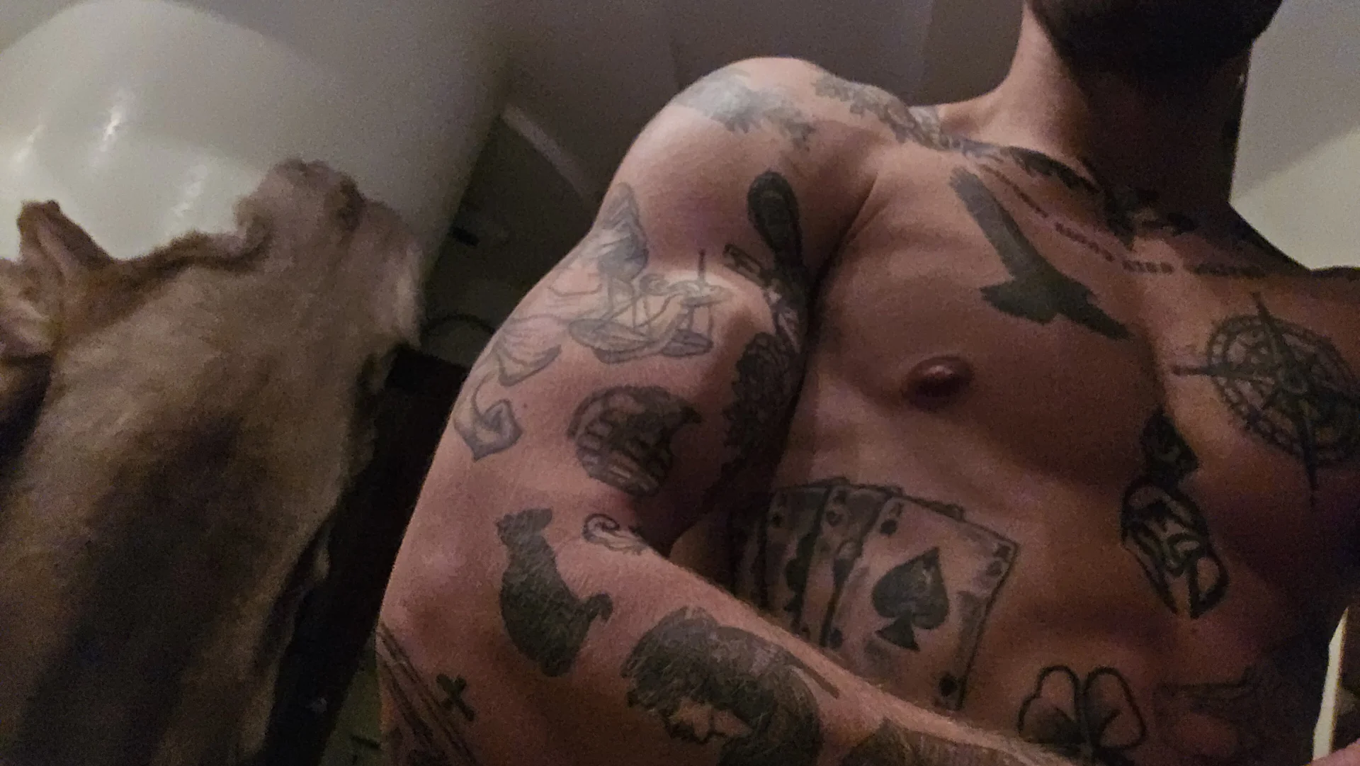 XXX Porn Photo of Nude padr3jason 25
