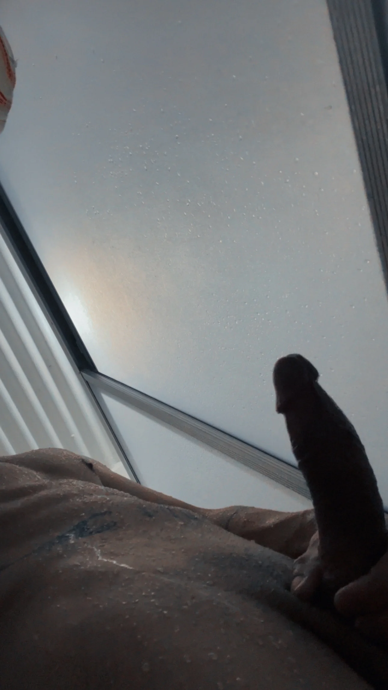 XXX Porn Photo of Nude cerejadc 3