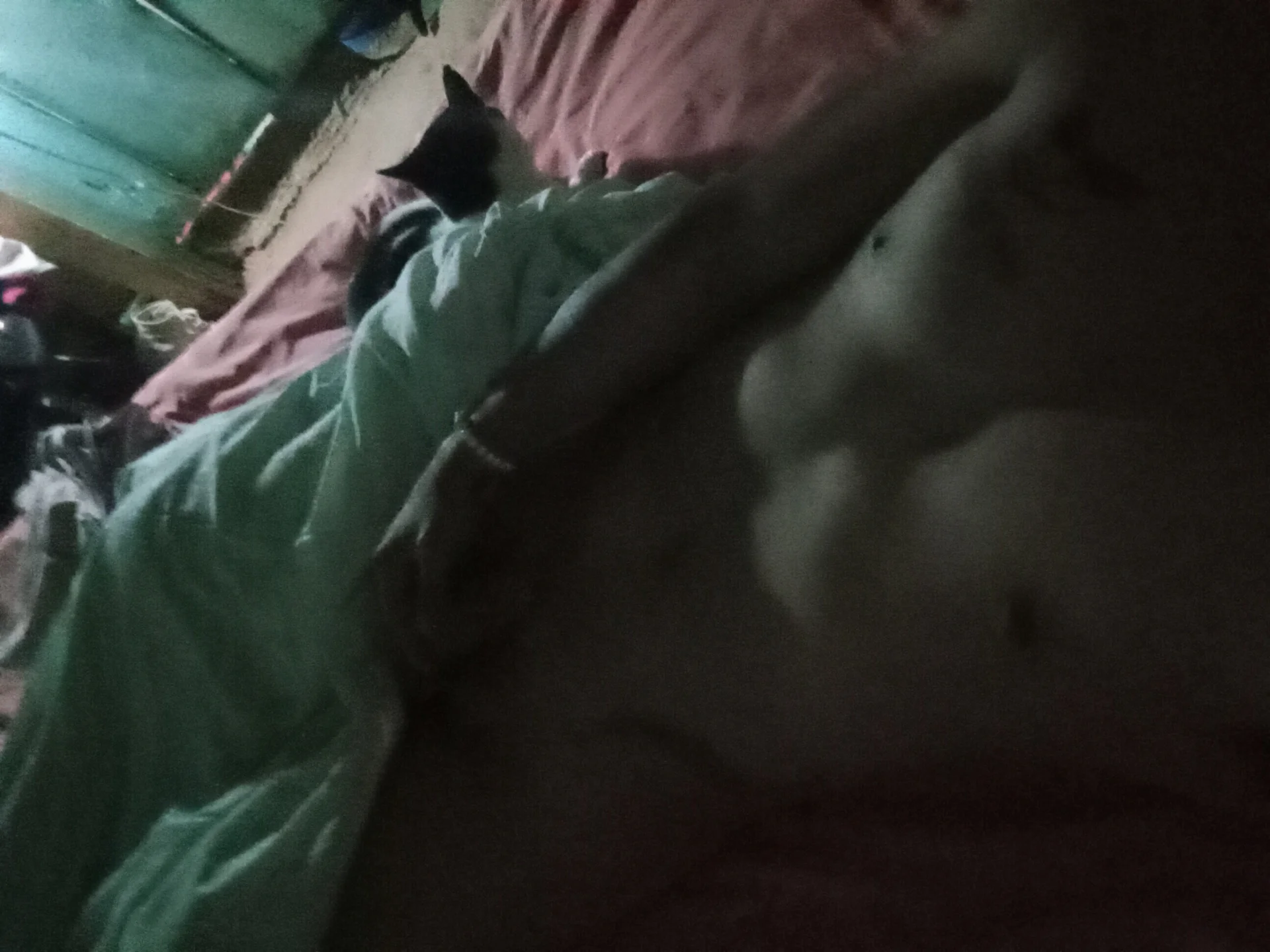 Woofer_dick