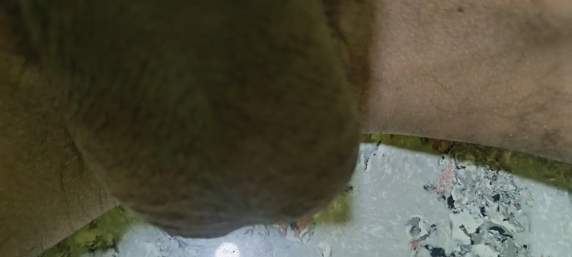 XXX Porn Photo of Nude studdmale 7