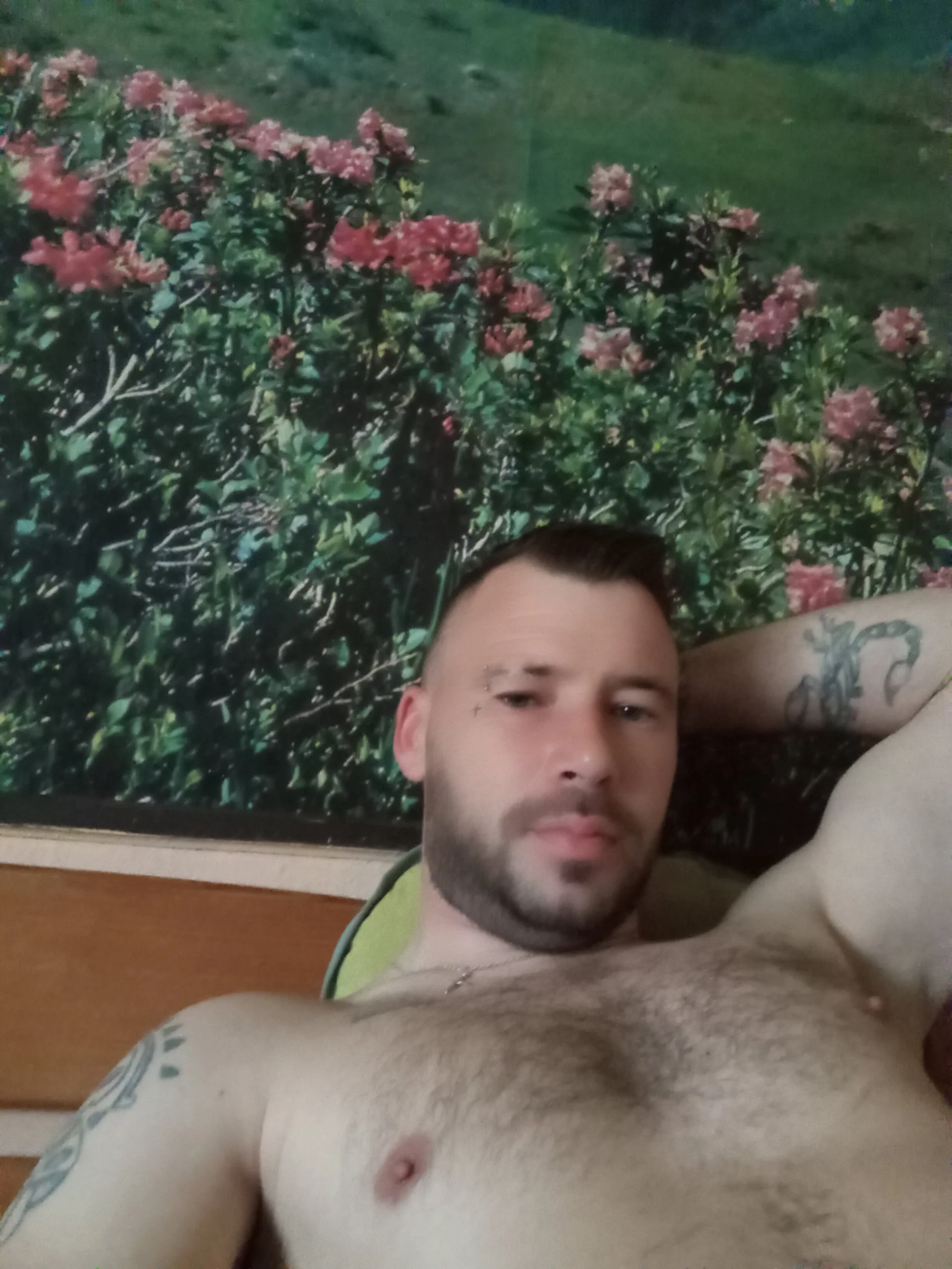 XXX Porn Photo of Nude Johanson8 4
