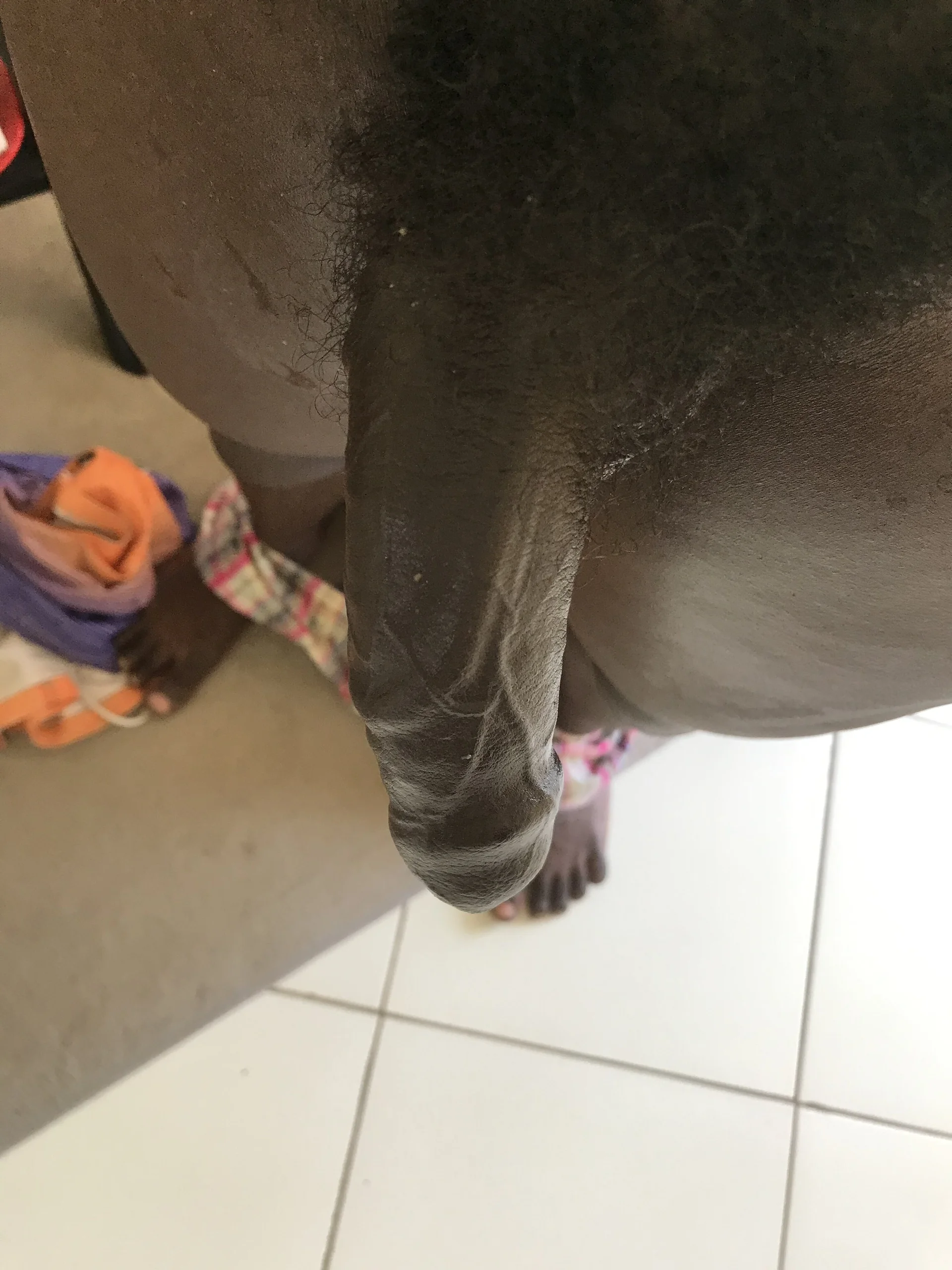 XXX Porn Photo of Nude Kimxxl98 15