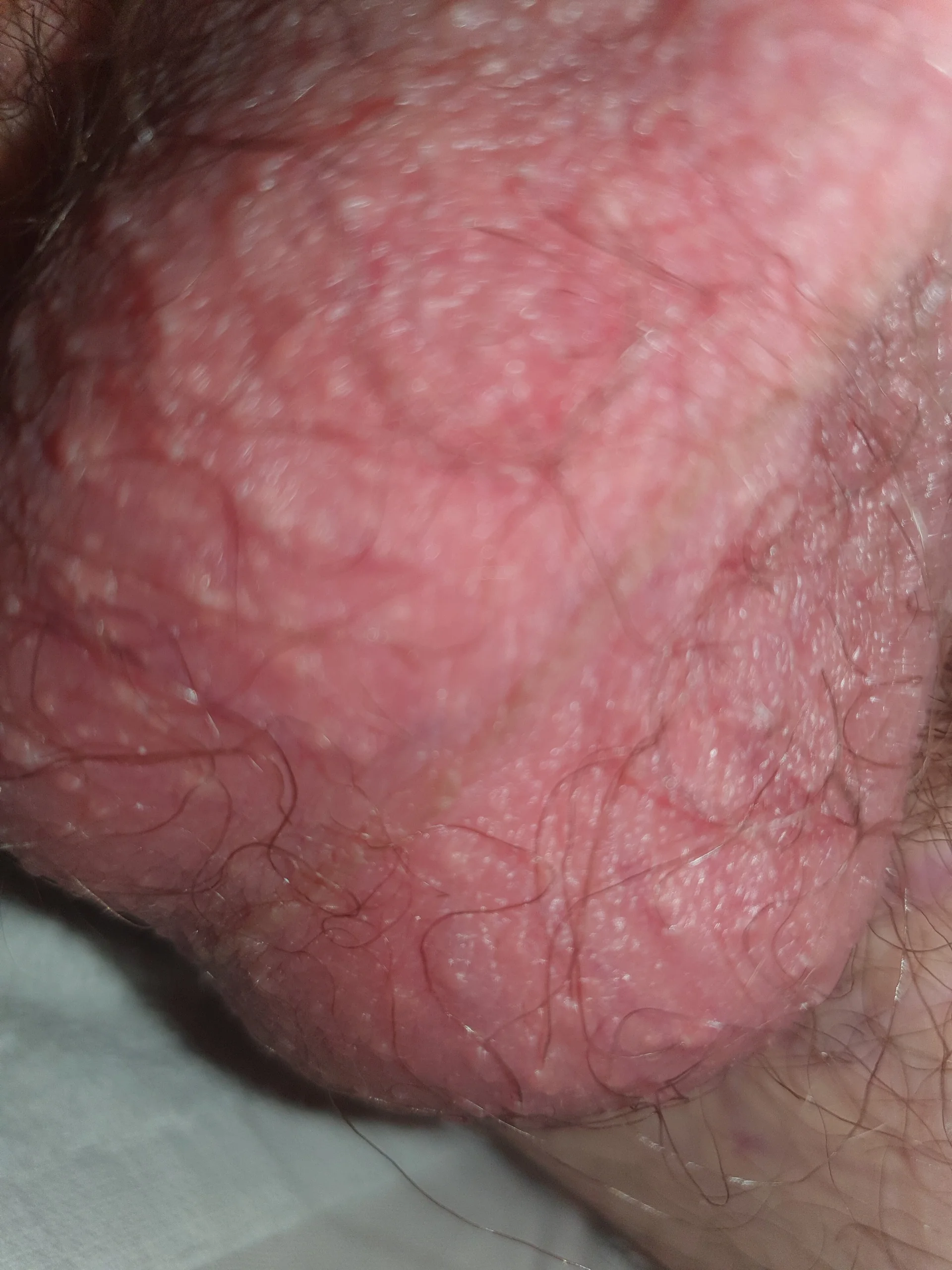 XXX Porn Photo of Nude CumPlayWithSheppy 4