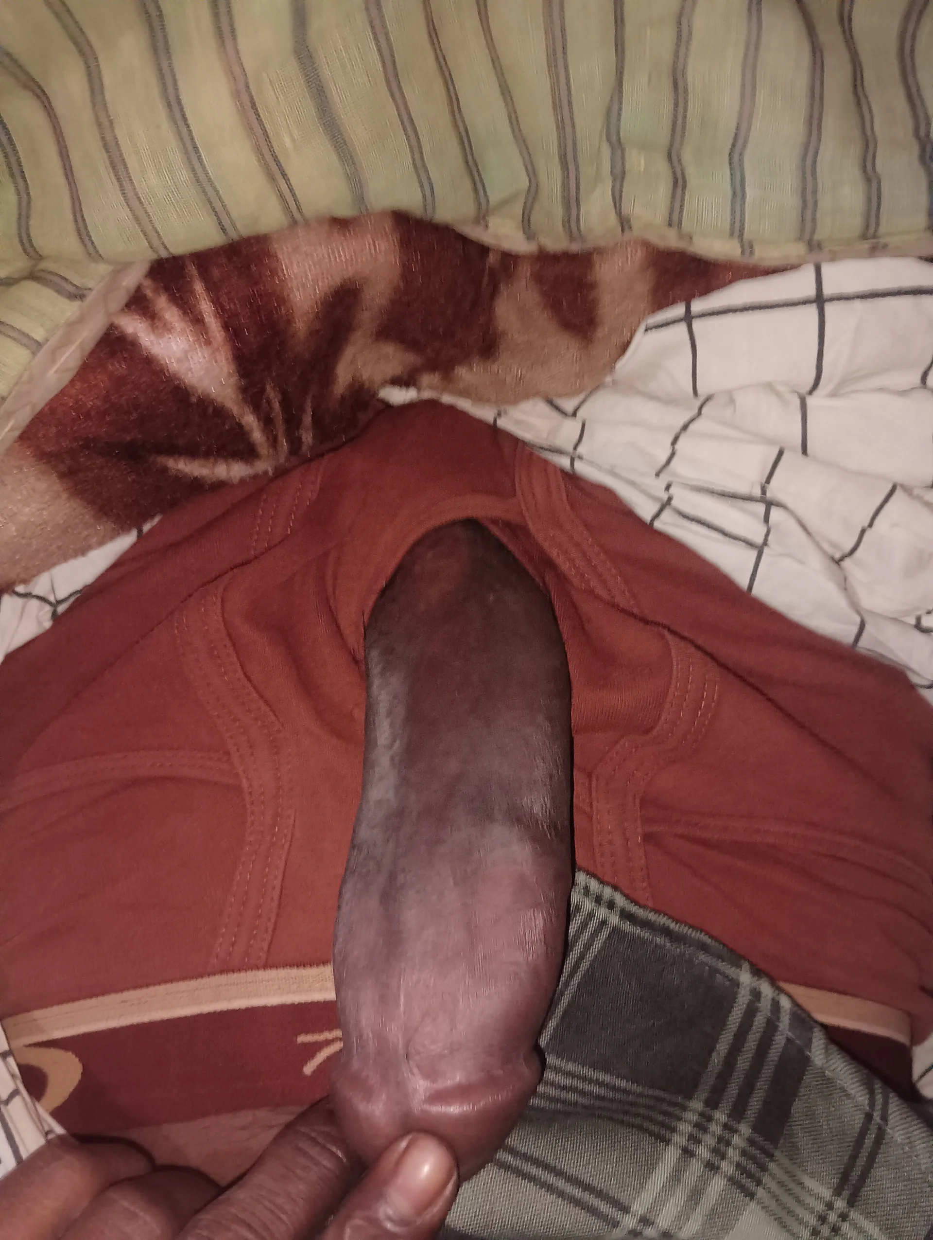 XXX Porn Photo of Nude Bengali_BULL1 6