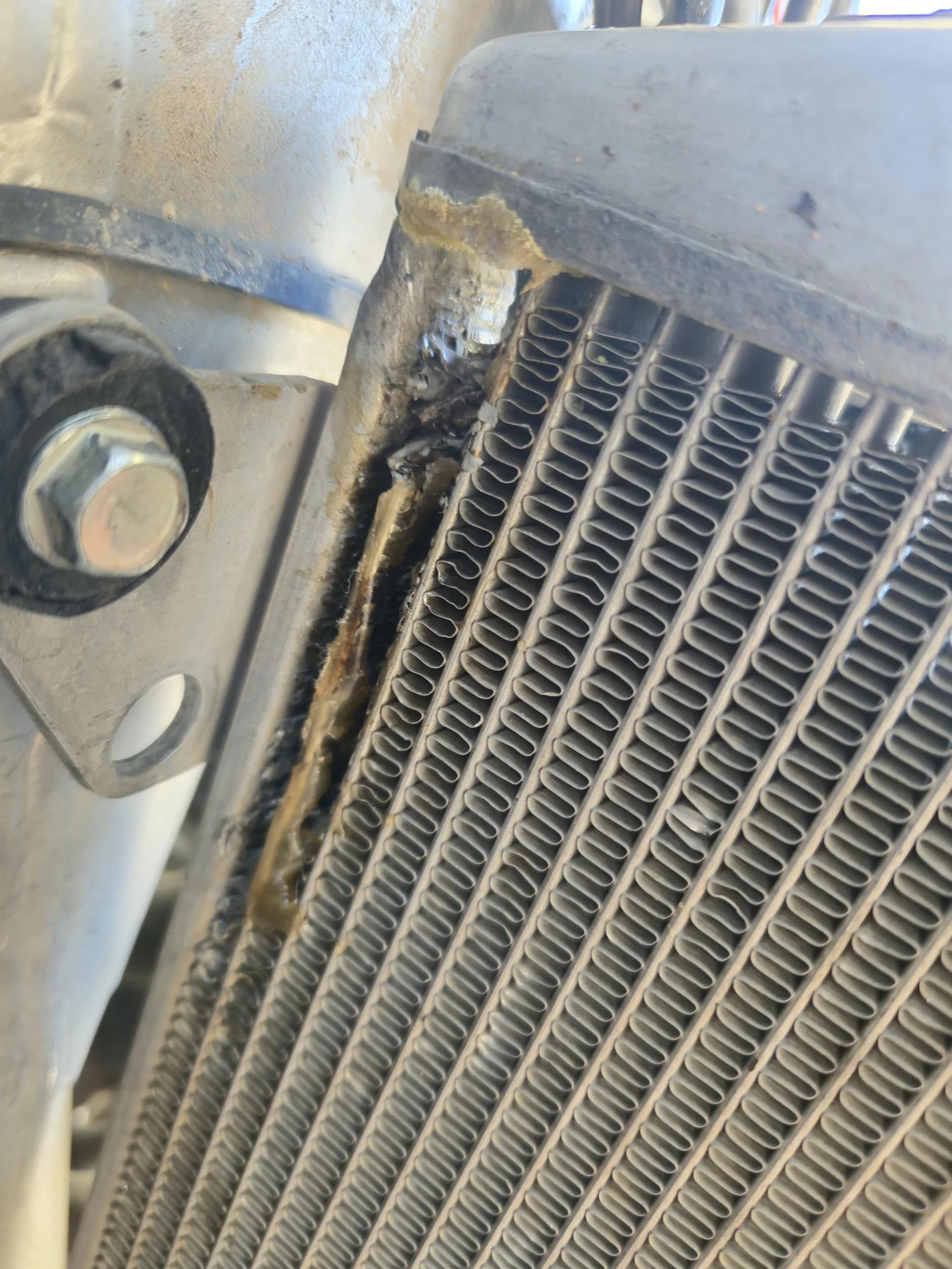 XXX Porn Photo of Nude Etherless86 7