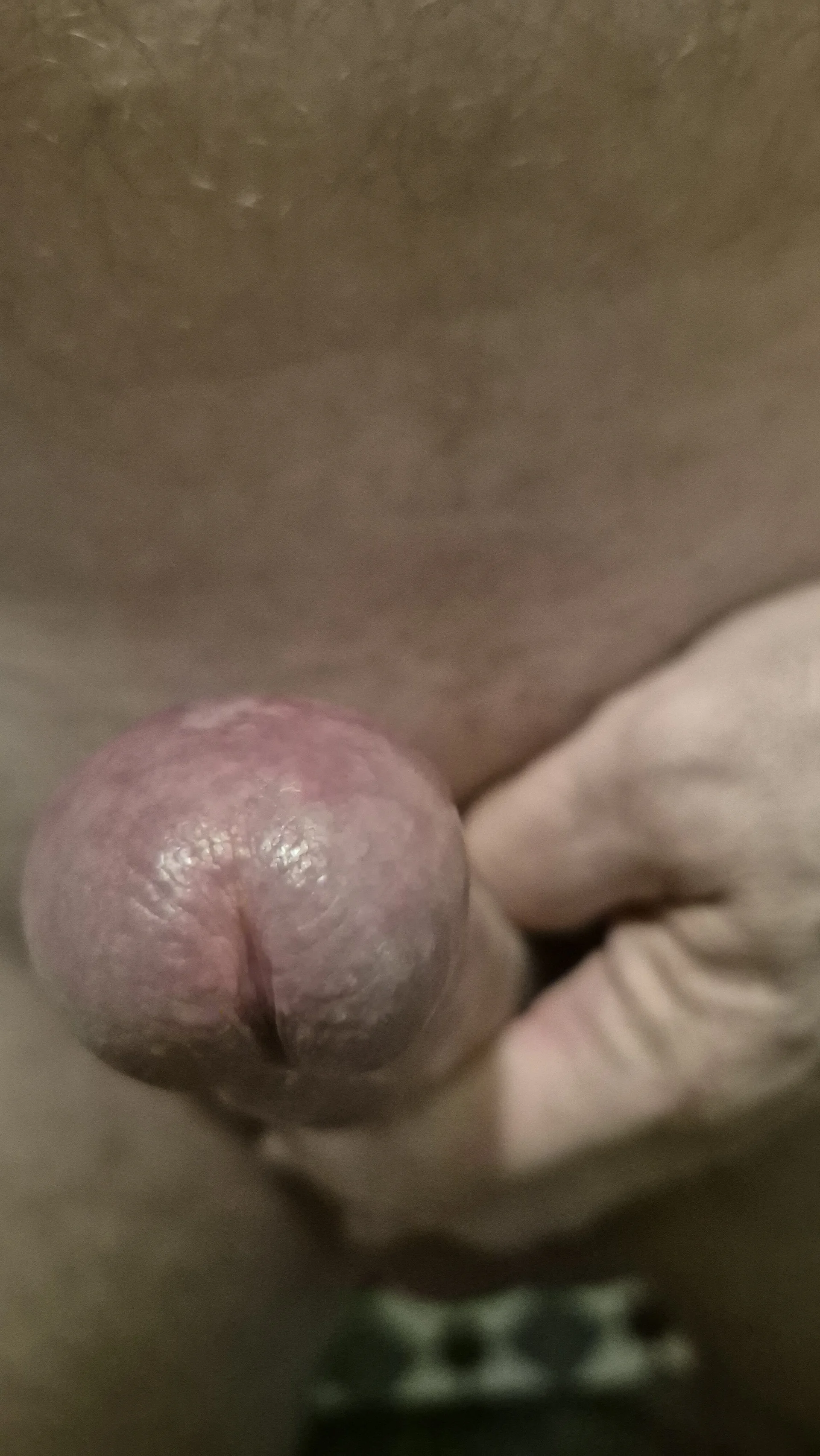 XXX Porn Photo of Nude gilb_A 22
