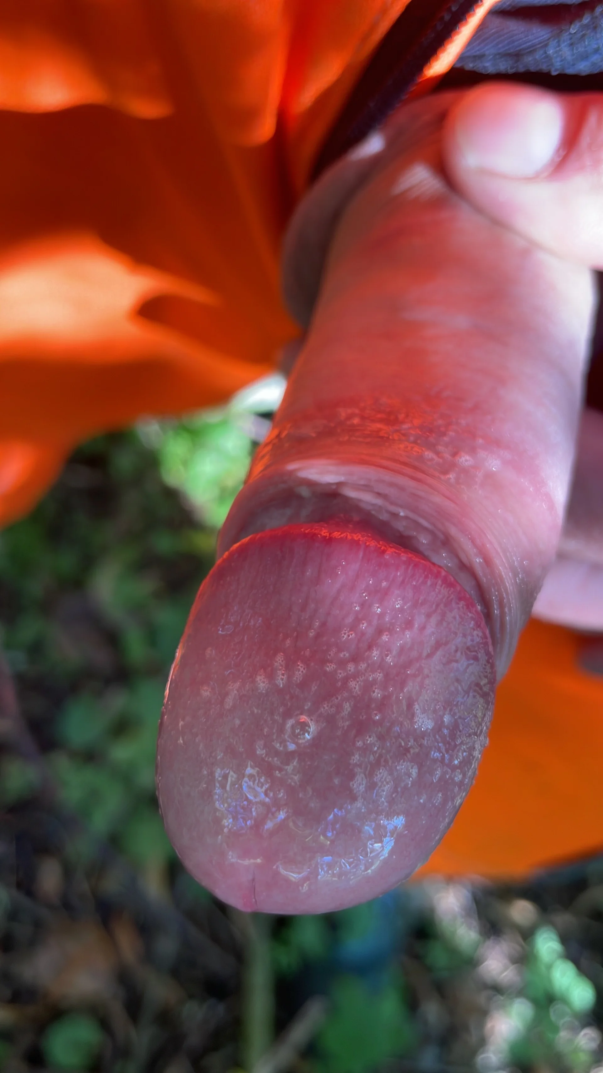 XXX Porn Photo of Nude 8rabe8 1