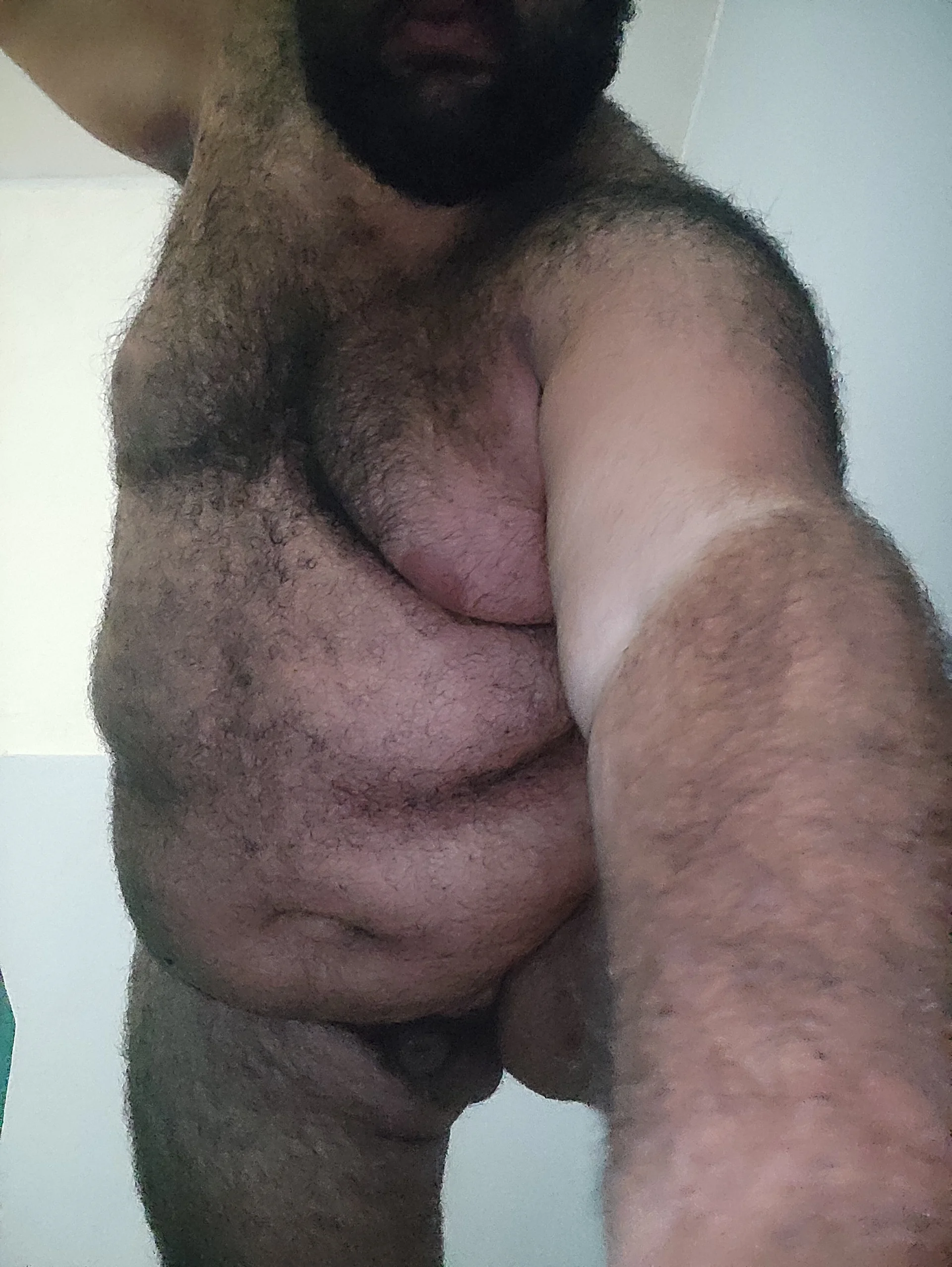 XXX Porn Photo of Nude BeardedChubb 1