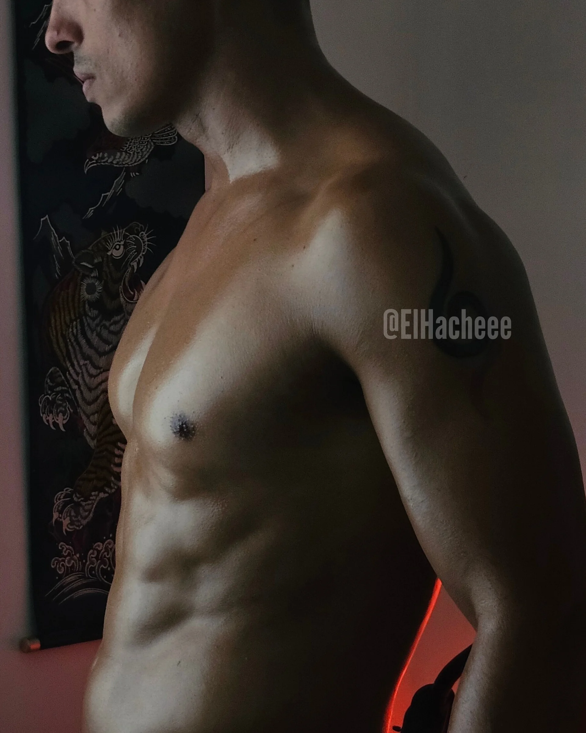 XXX Porn Photo of Nude elhacheee 3