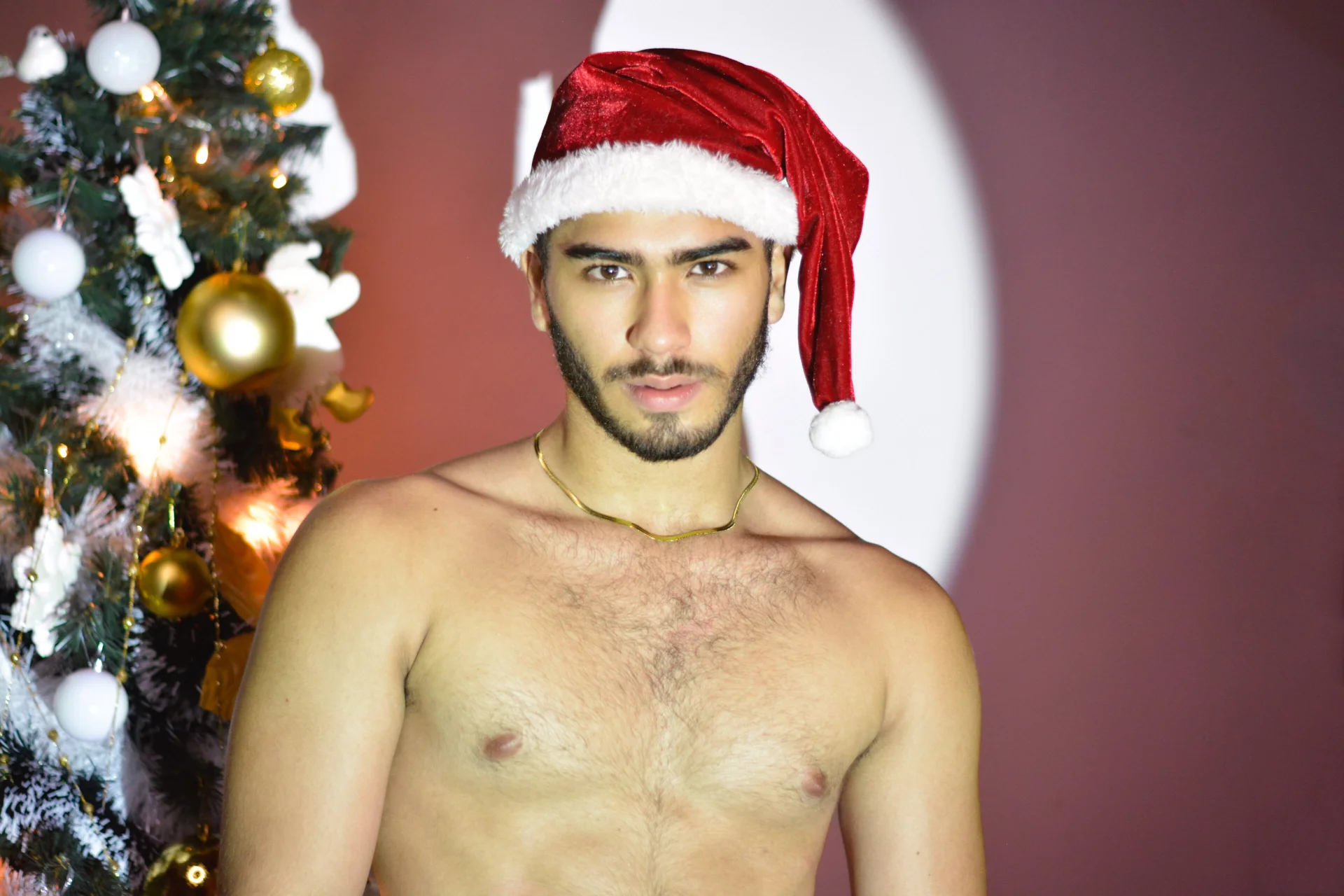 XXX Porn Photo of Nude Franco_banderas 21