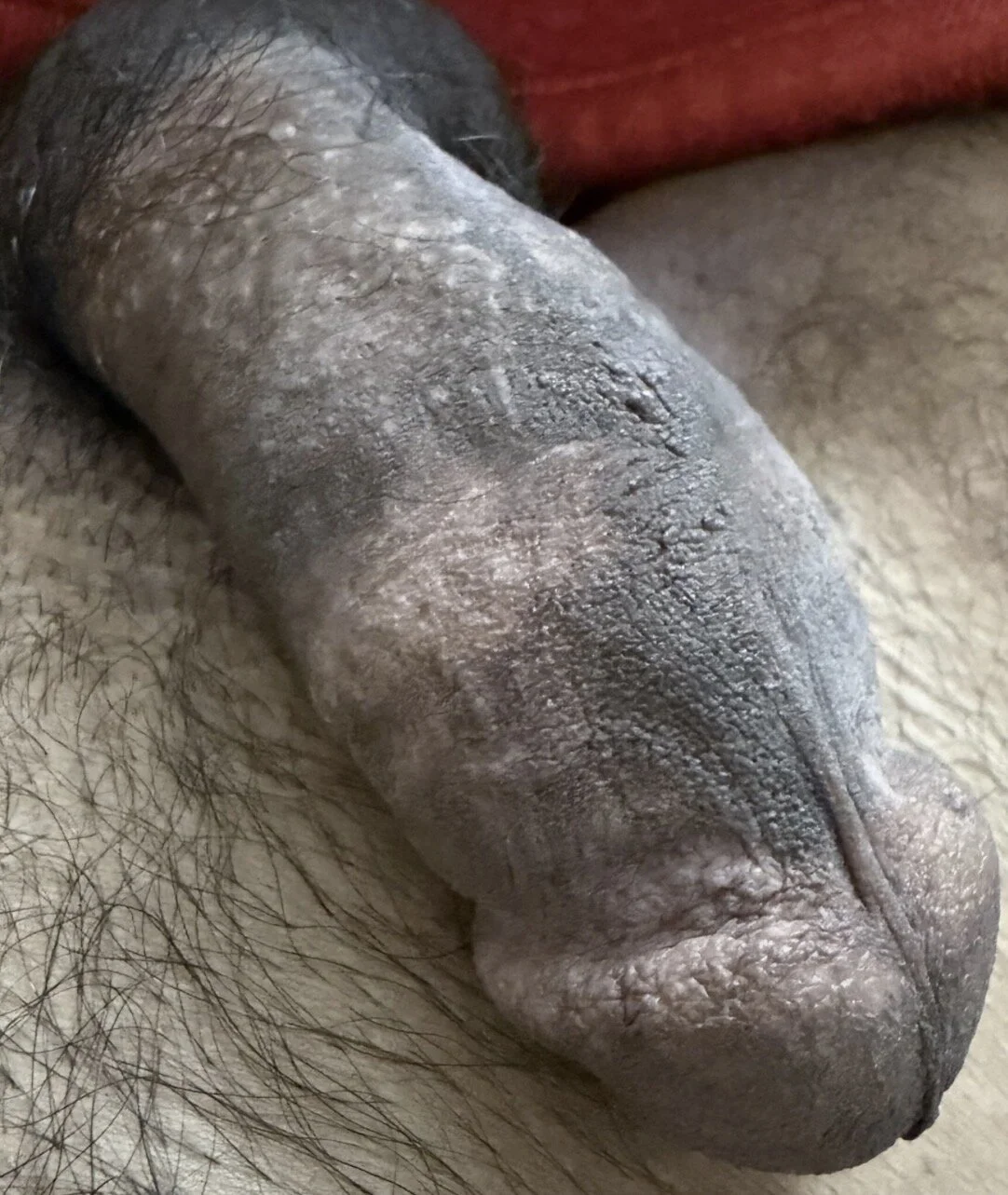 XXX Porn Photo of Nude mdlaif1111 5