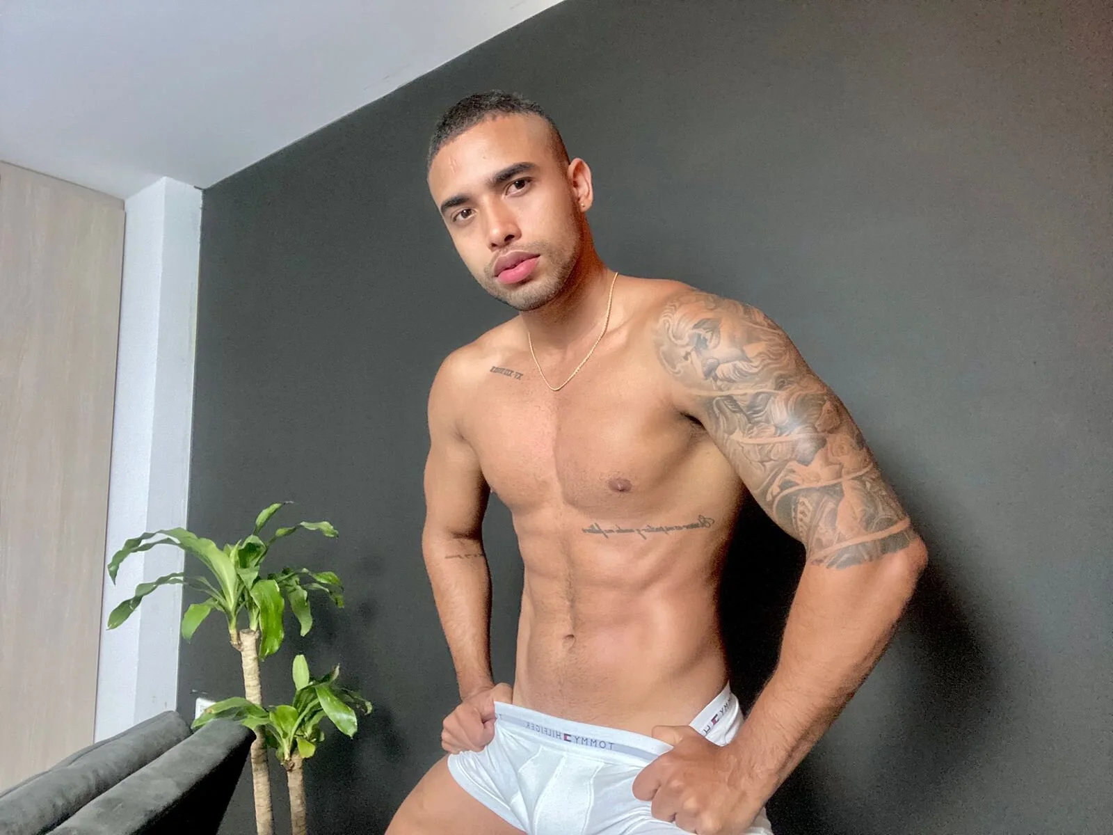 XXX Porn Photo of Nude LincomAmith 4