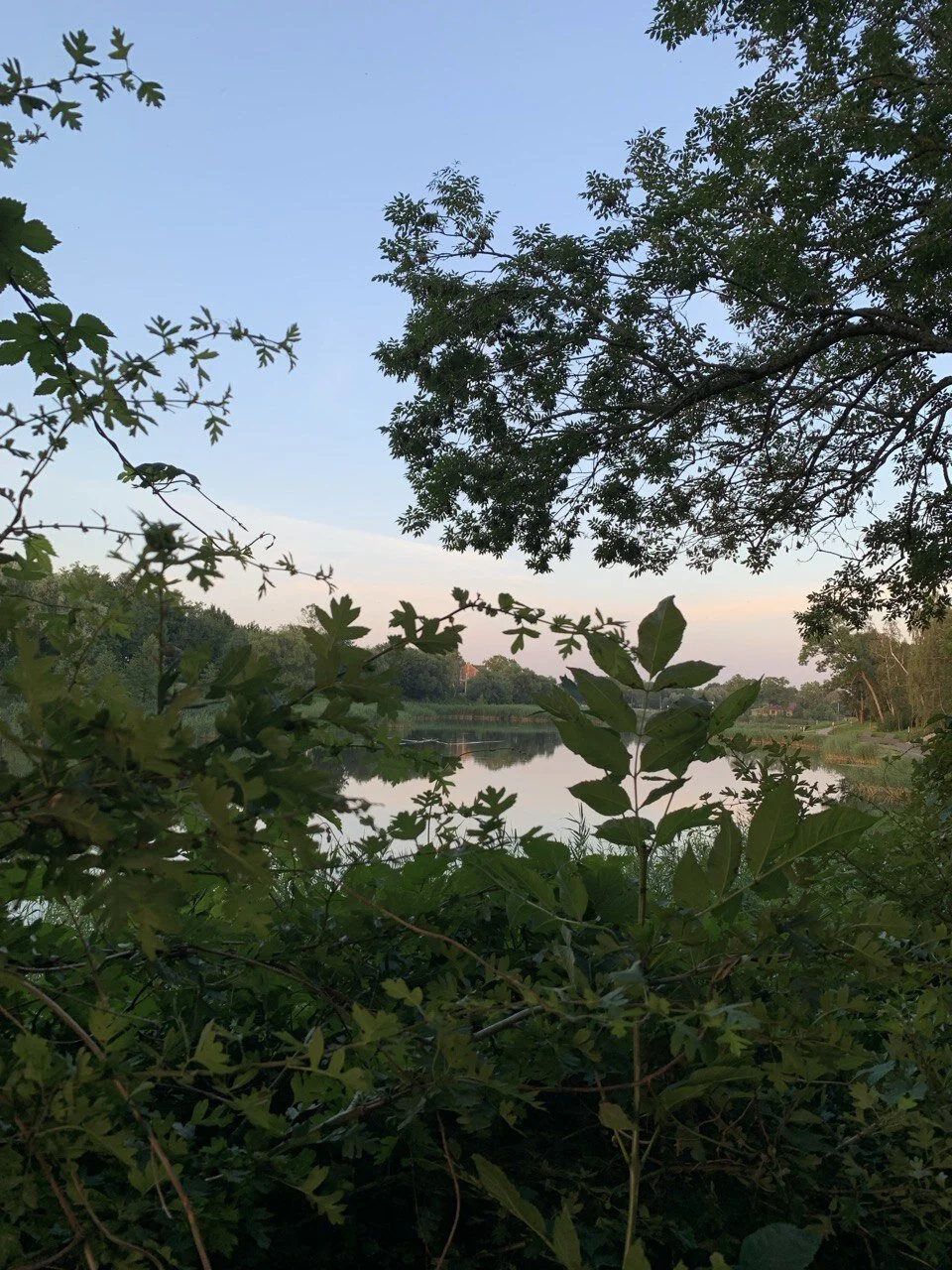 XXX Porn Photo of Nude pandalorian 3