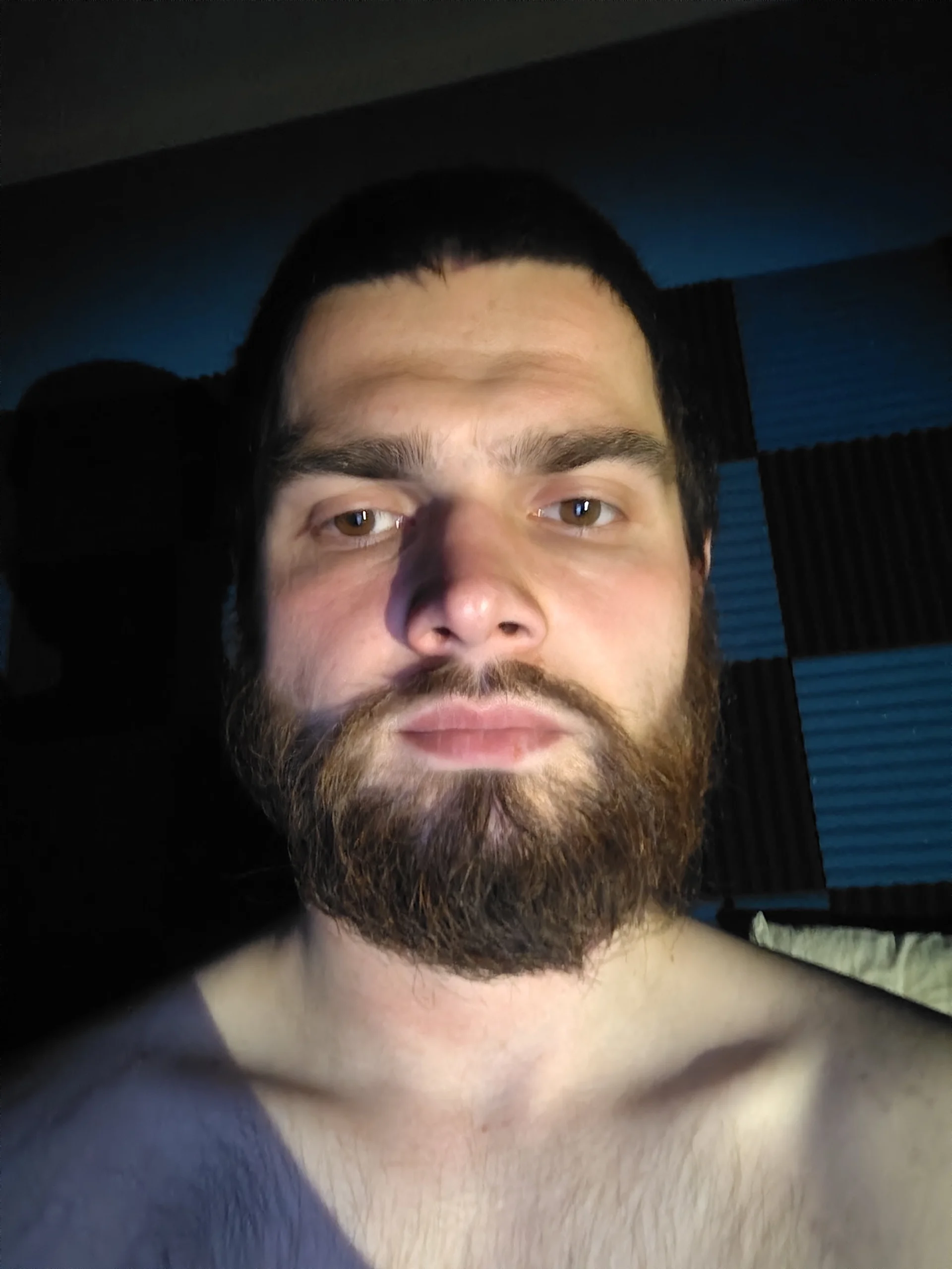 StefSensei