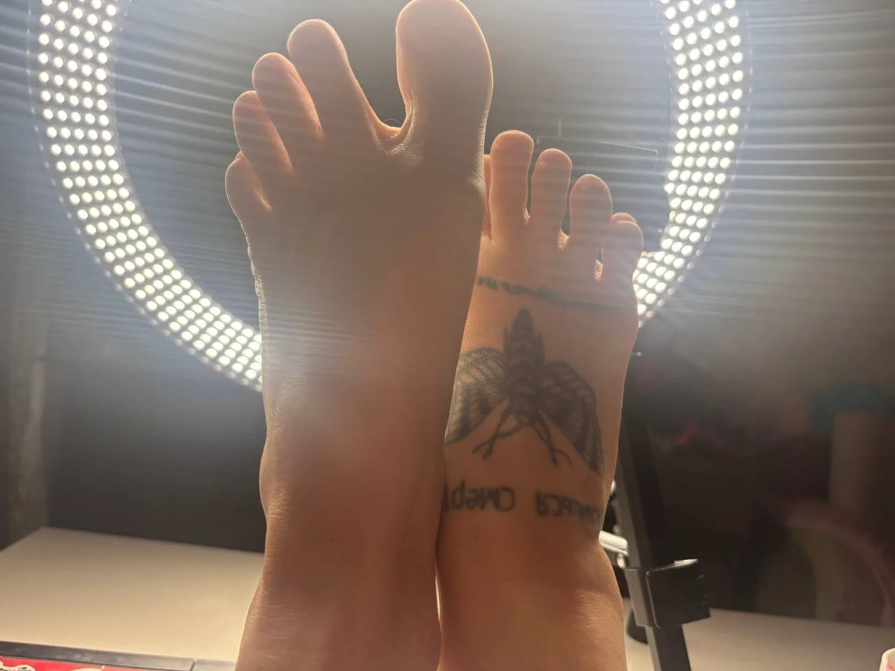 XXX Porn Photo of Nude angelalicehell 16
