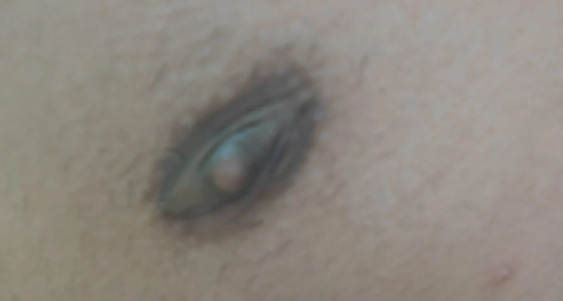 XXX Porn Photo of Nude greenzorawar 12