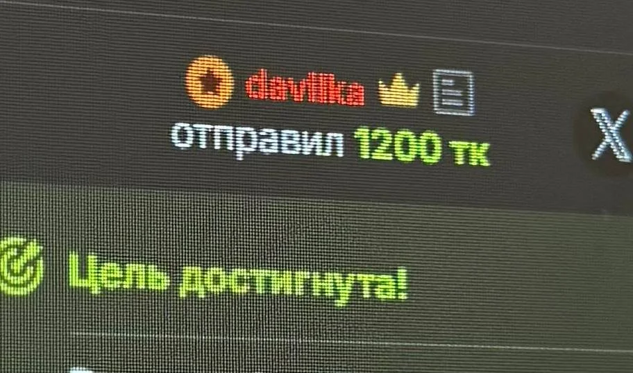 Kat__cat