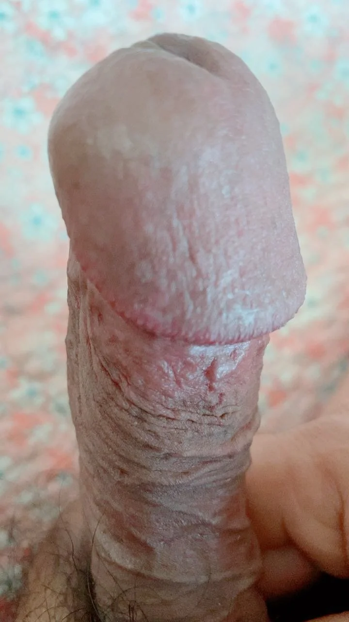 XXX Porn Photo of Nude Ayh0025 5