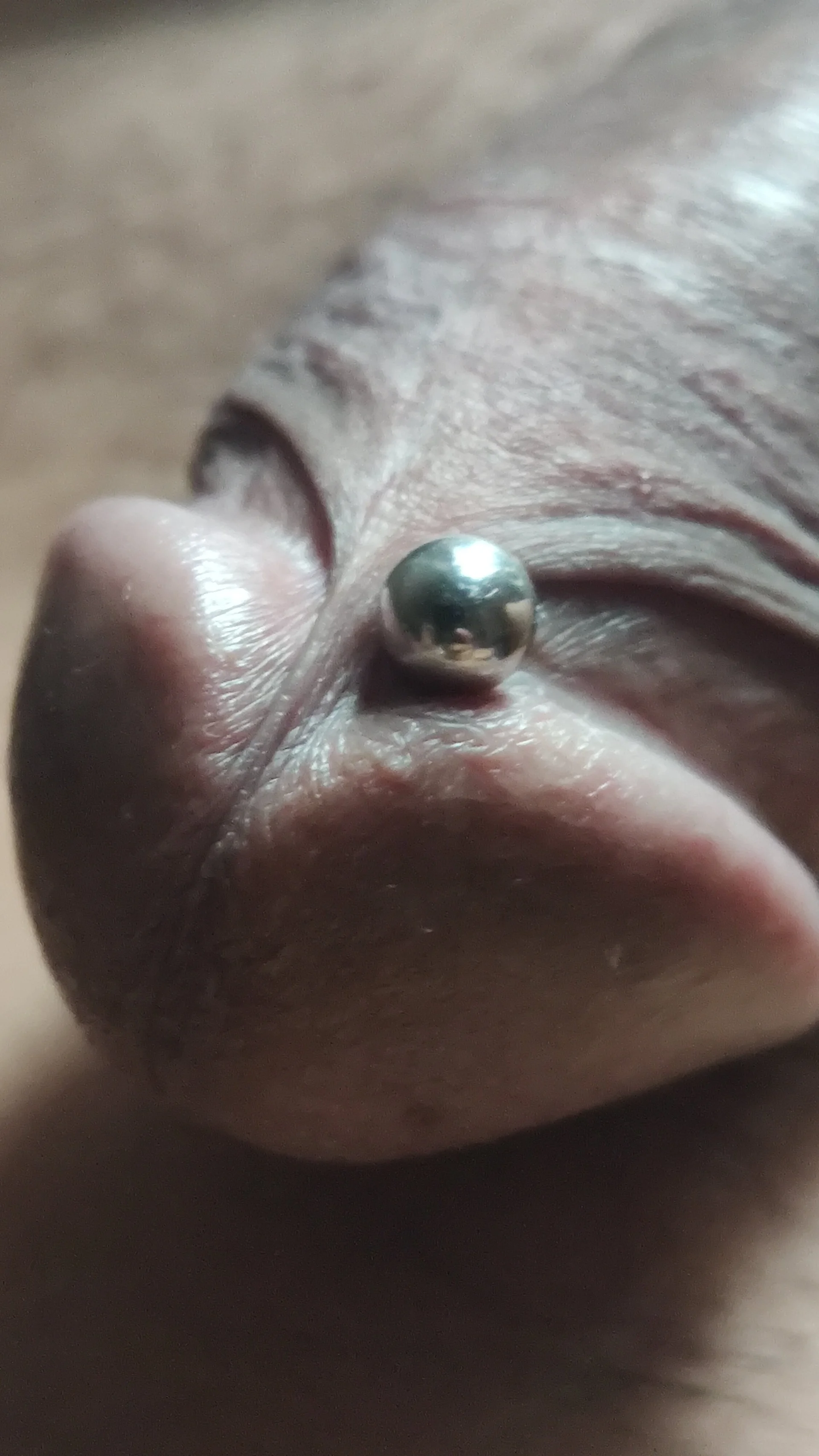 XXX Porn Photo of Nude Alexandertoms 22