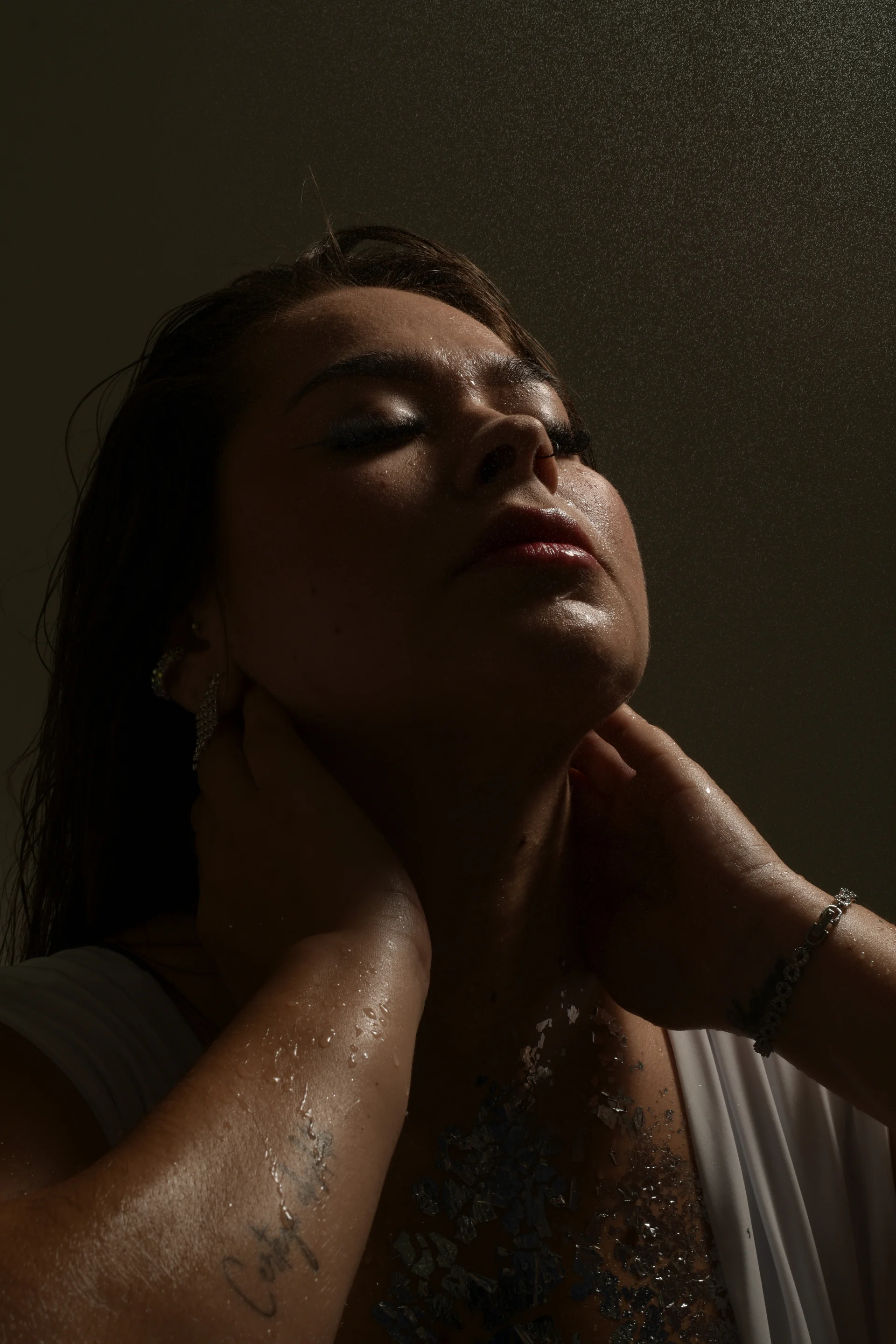 XXX Porn Photo of Nude SofieReyes 26