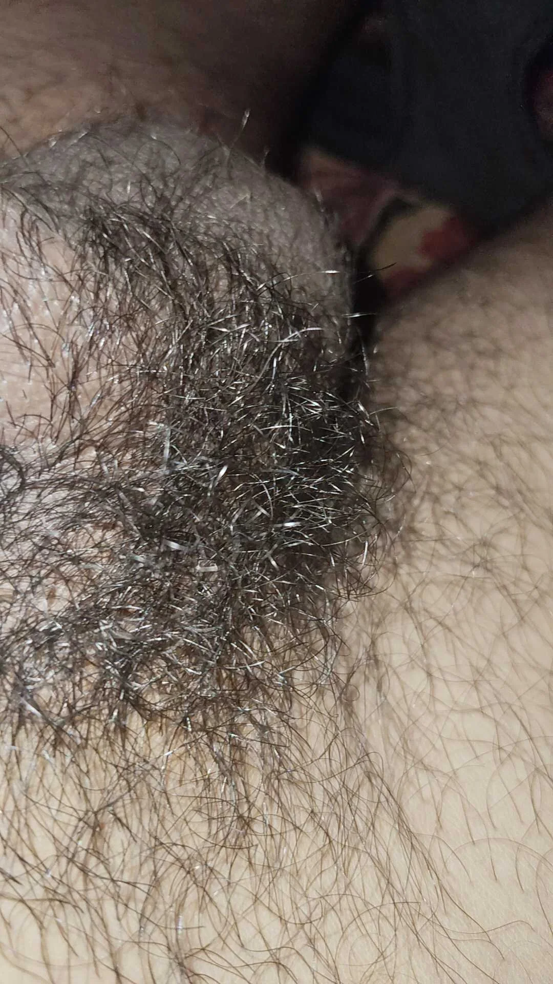 use_19