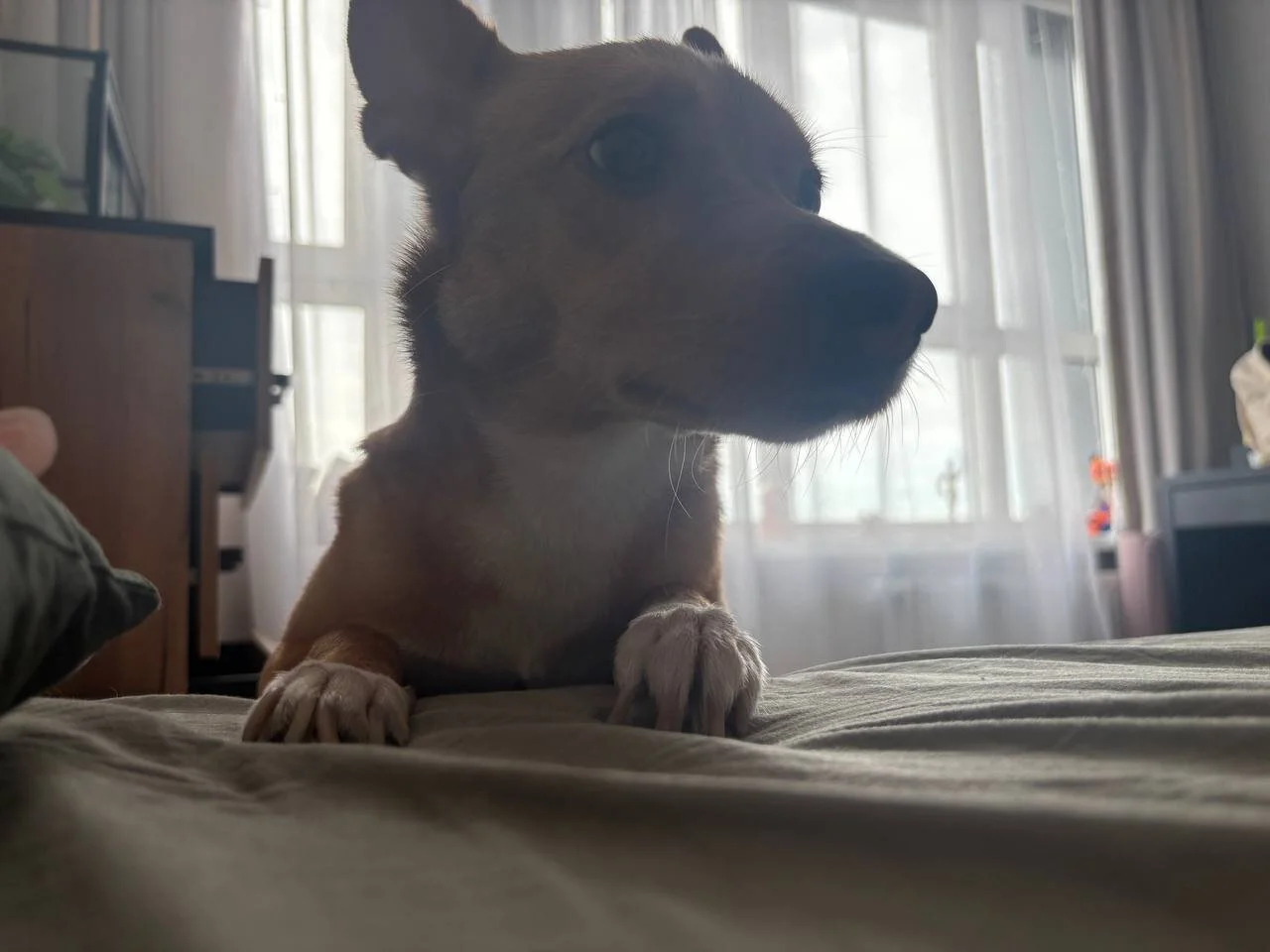 XXX Porn Photo of Nude MercBoone 61