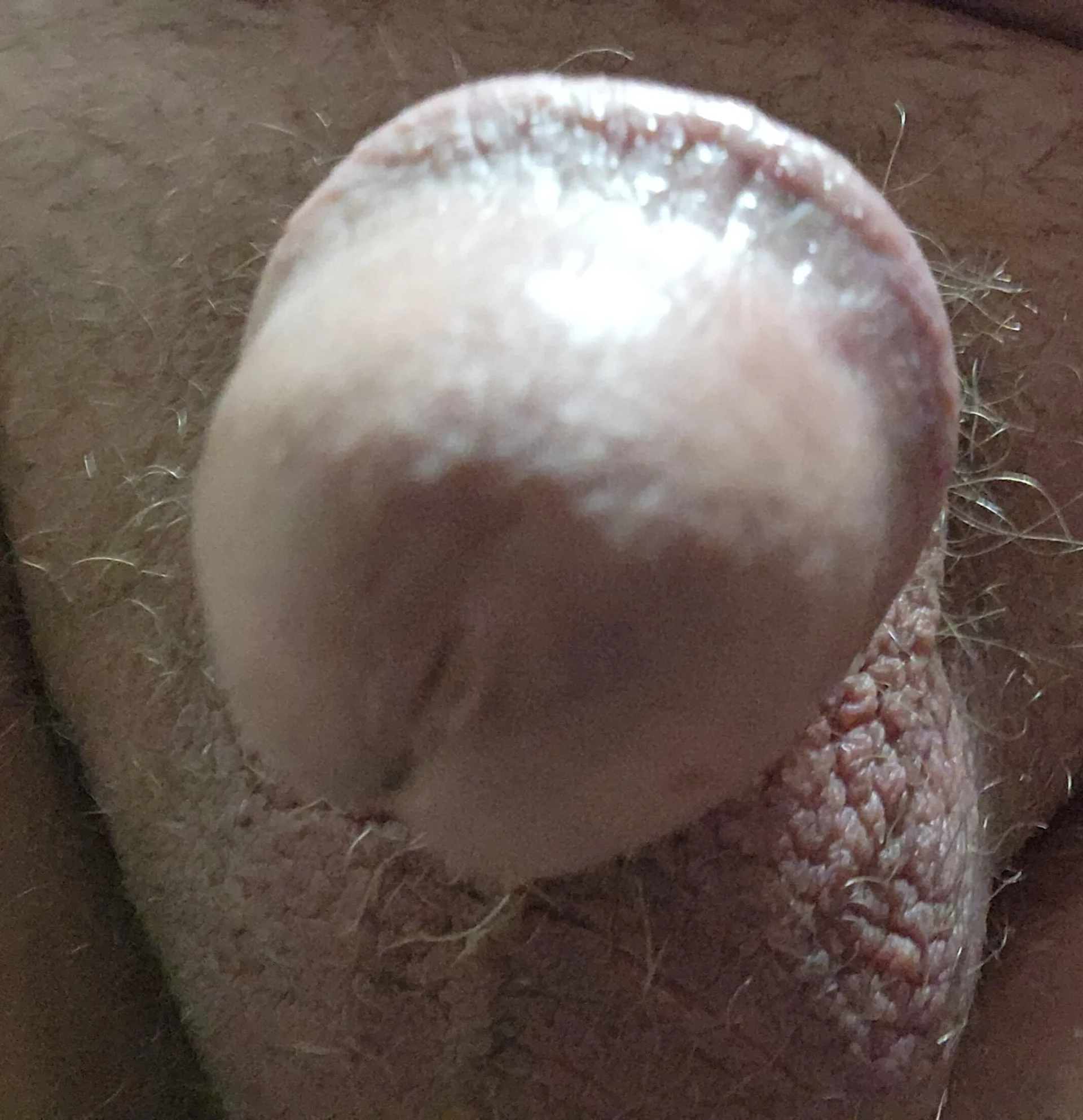 XXX Porn Photo of Nude Jackauff69 6