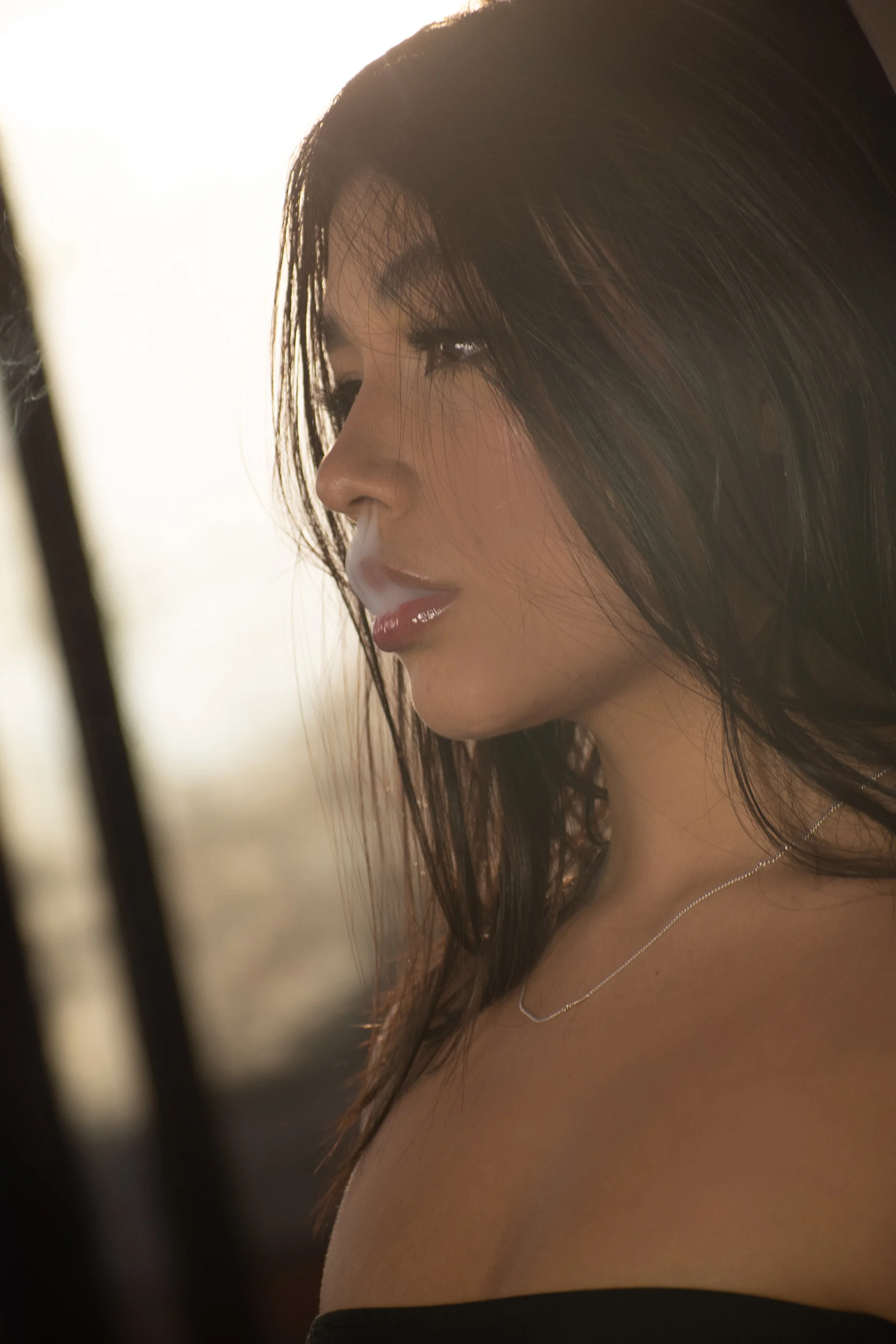 XXX Porn Photo of Nude ShaniaDaniels 32