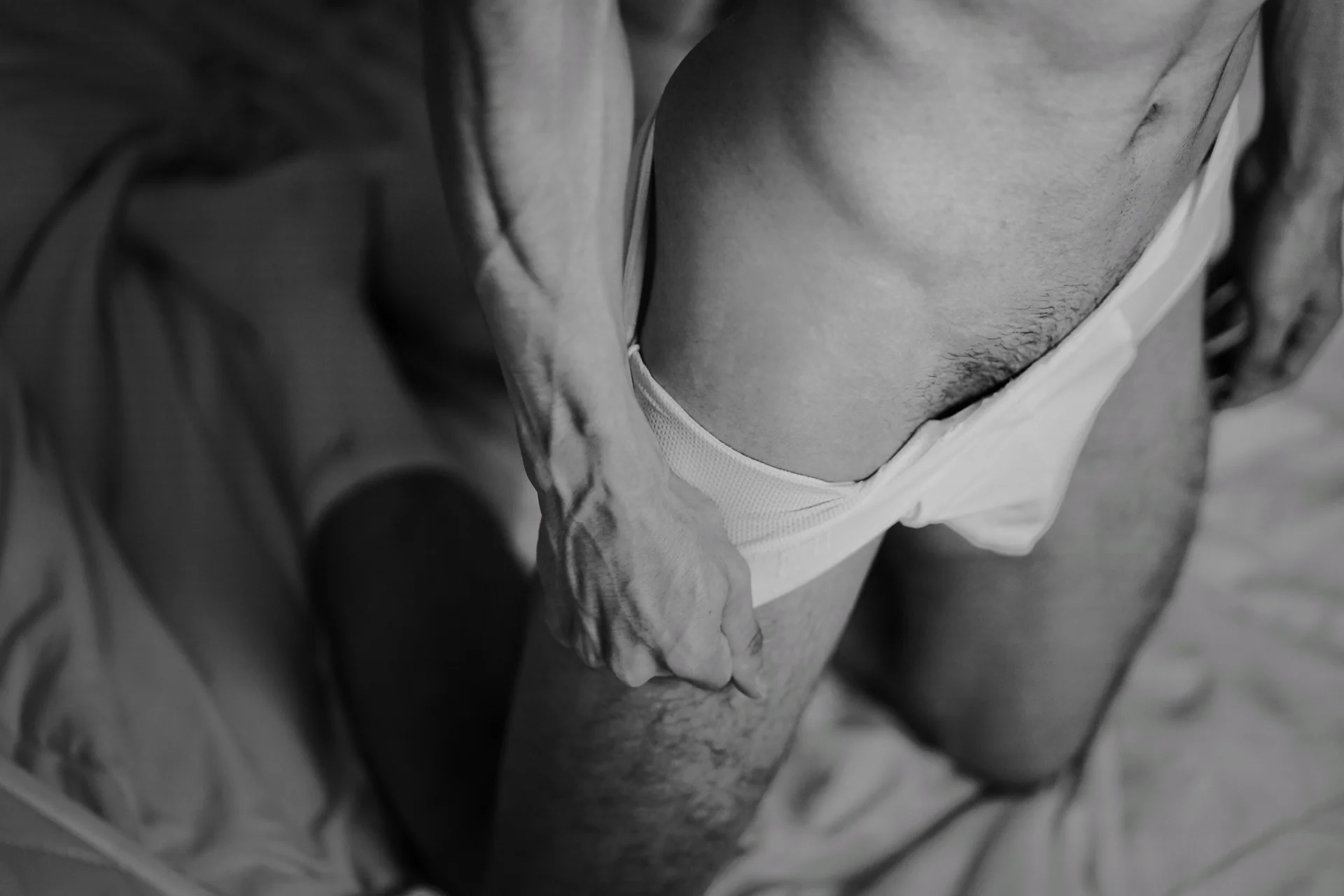 Dammon_Stallion