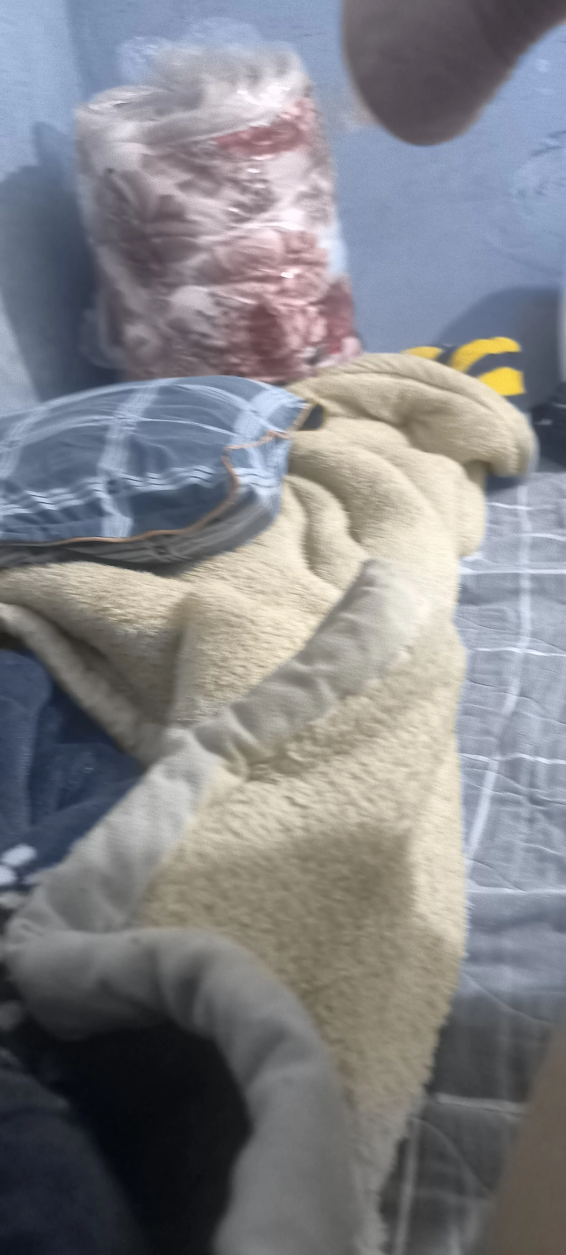 cactoto