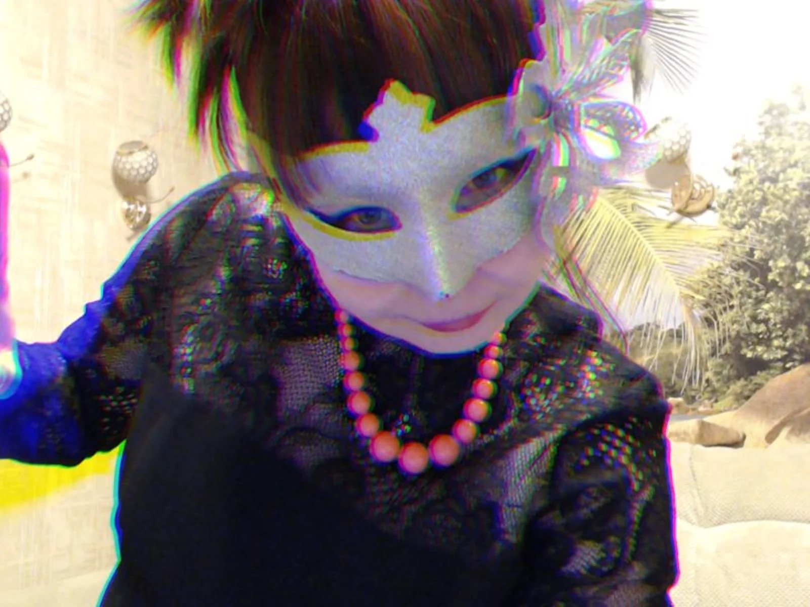 Aphelandra