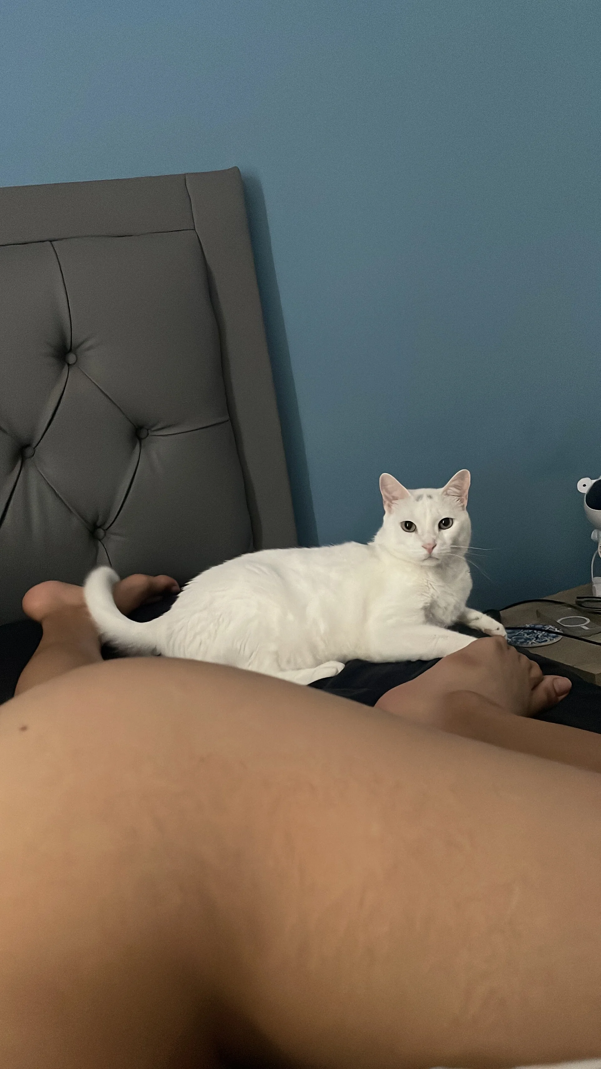 XXX Porn Photo of Nude sofi_elfqueen 32