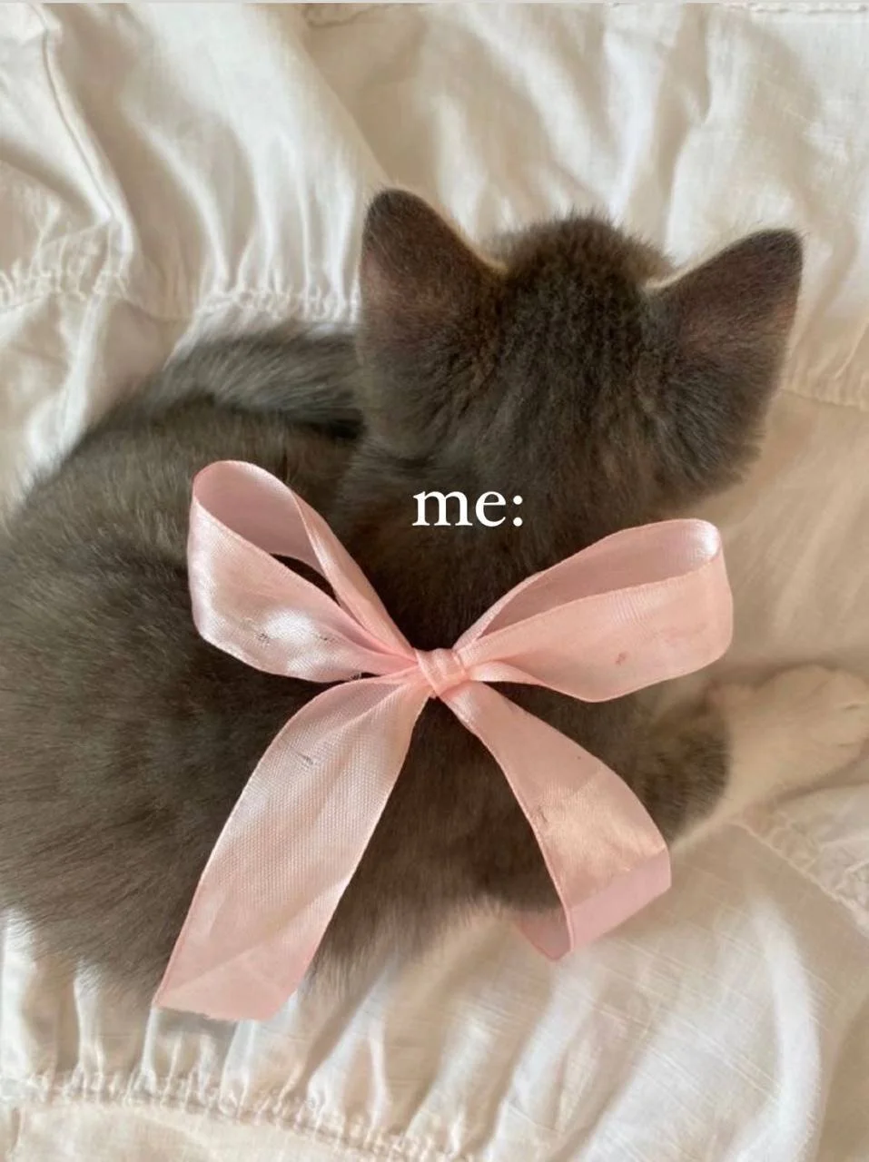 Eva_Weyne