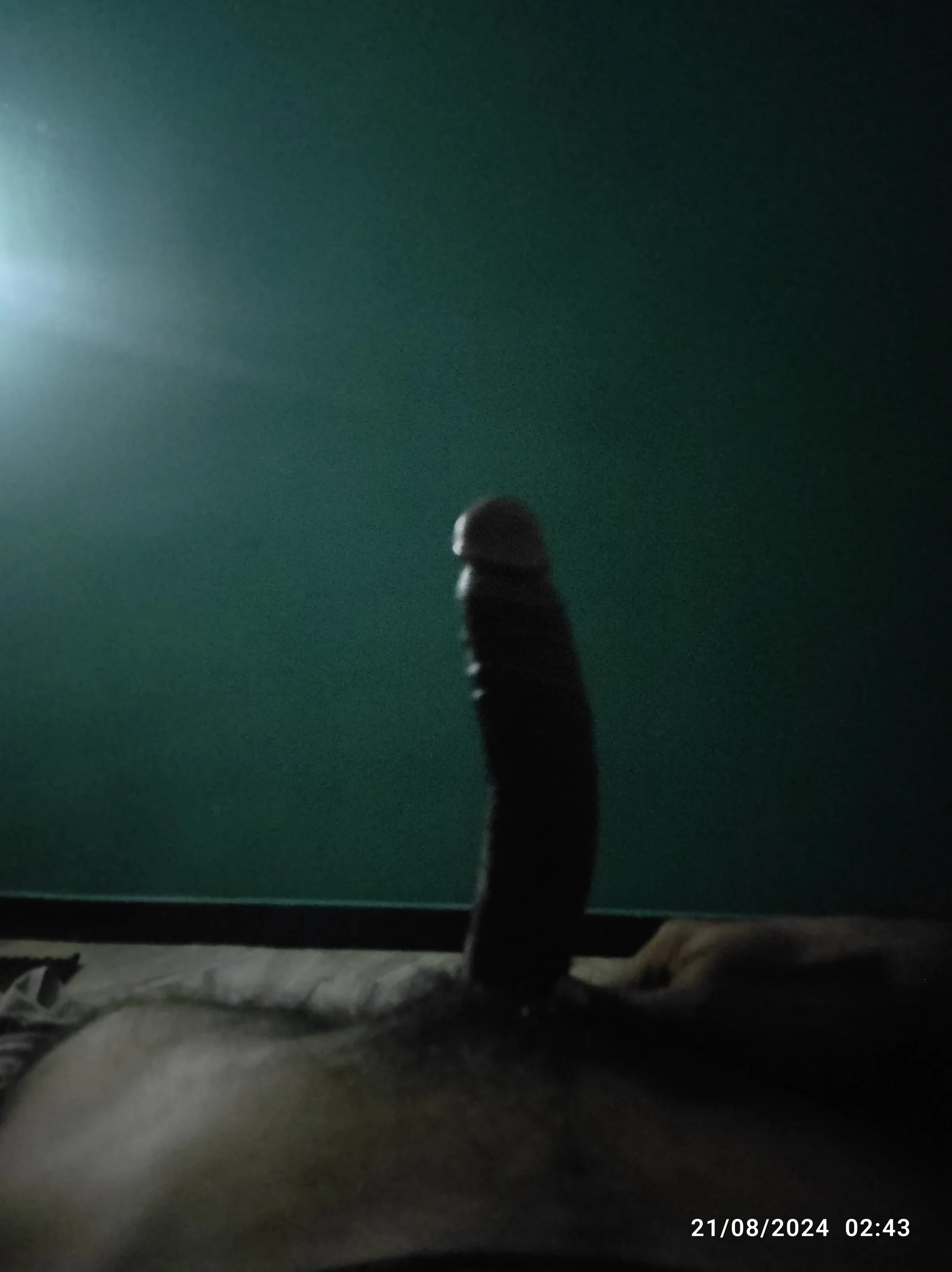 XXX Porn Photo of Nude hairy_gun 1