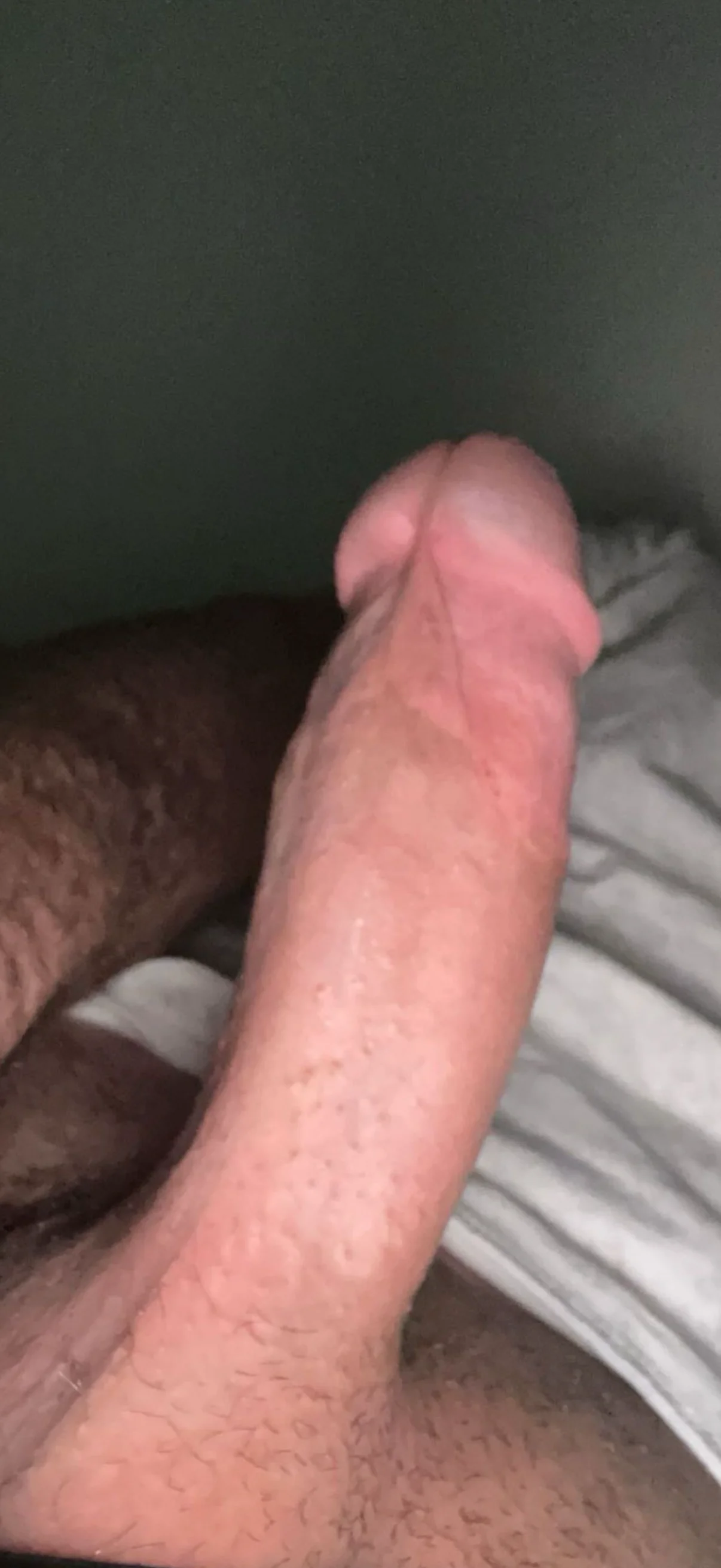 XXX Porn Photo of Nude GuestSolo 2