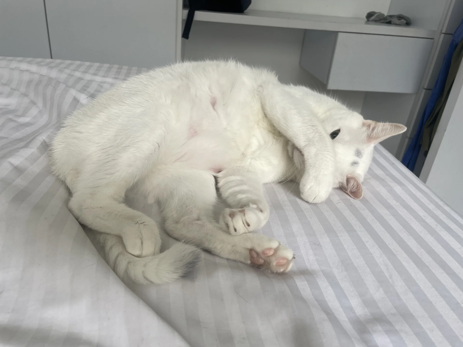 XXX Porn Photo of Nude sofi_elfqueen 28
