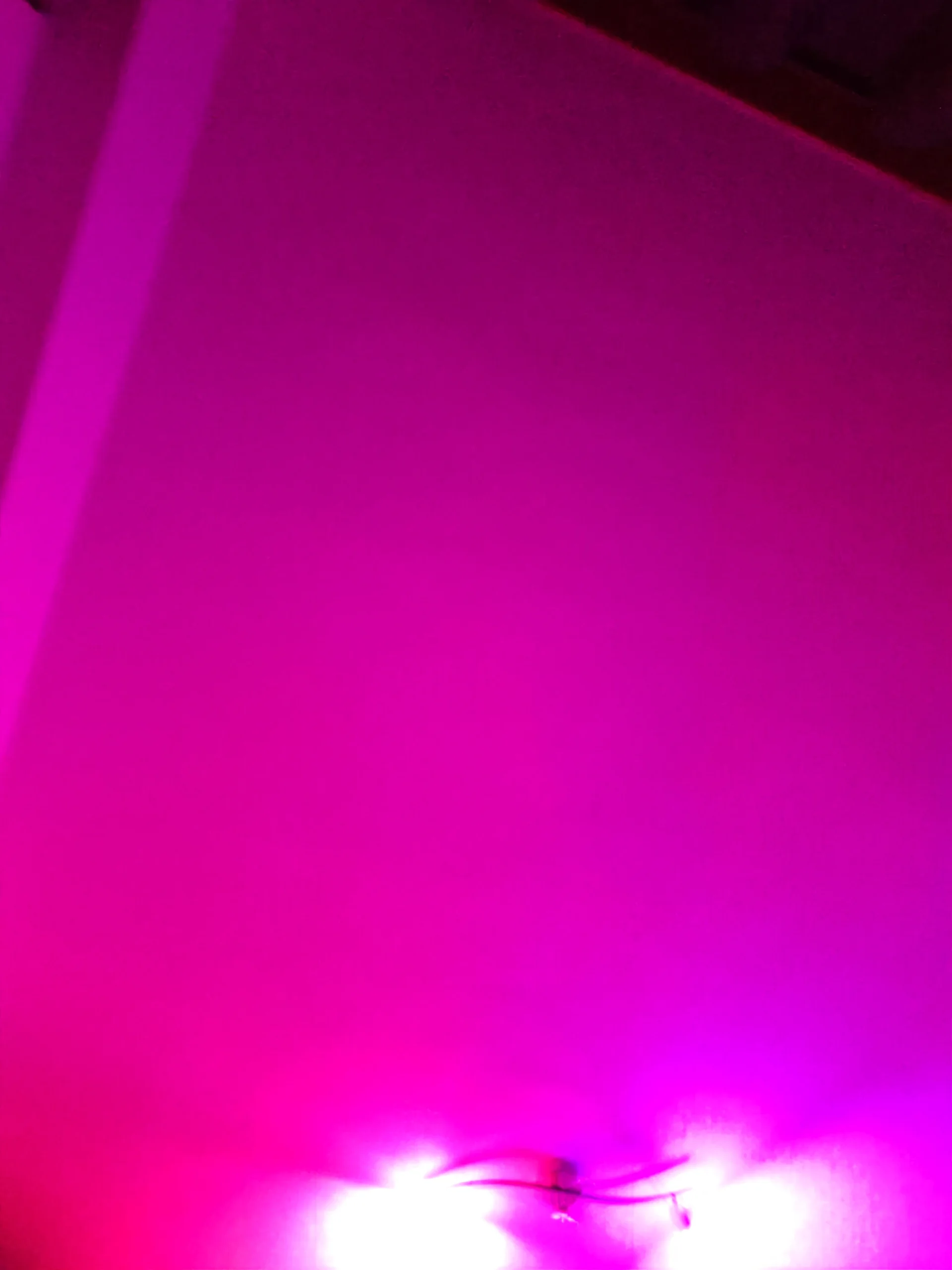 XXX Porn Photo of Nude WDWA_FUN 2