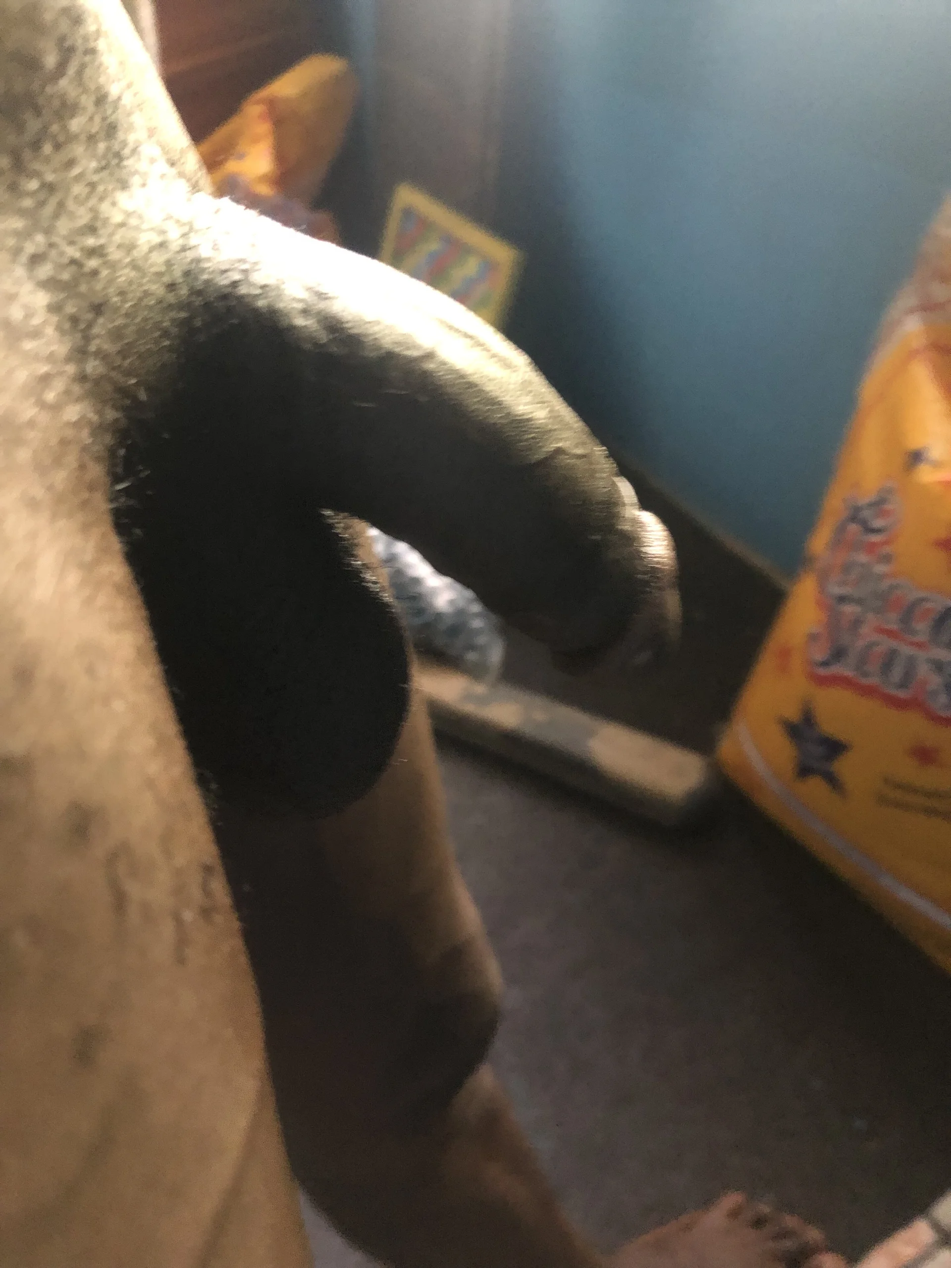 XXX Porn Photo of Nude Tokro24 3